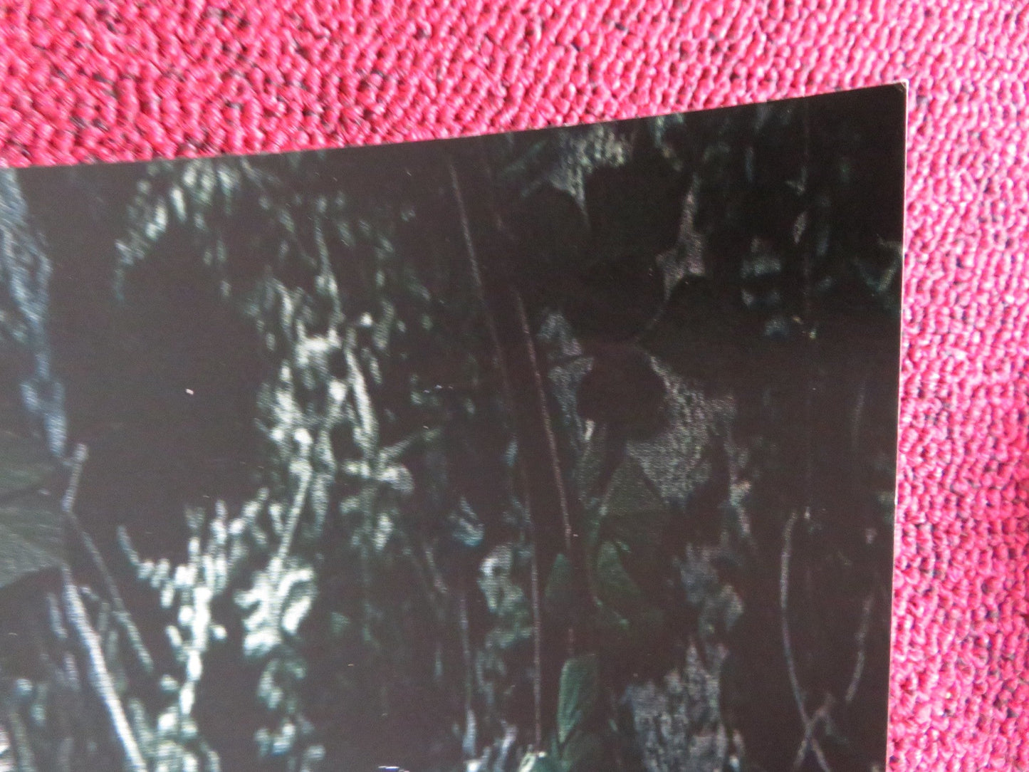 MAZE RUNNER UK QUAD (30"x 40") ROLLED POSTER DYLAN O'BRIEN WILL POULTER 2014 Rendezvous Cinema Movie posters