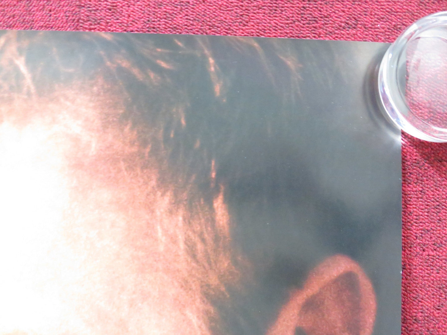 MESSAGE IN A BOTTLE UK QUAD (30"x 40") ROLLED POSTER KEVIN COSTNER 1999 Rendezvous Cinema Movie posters