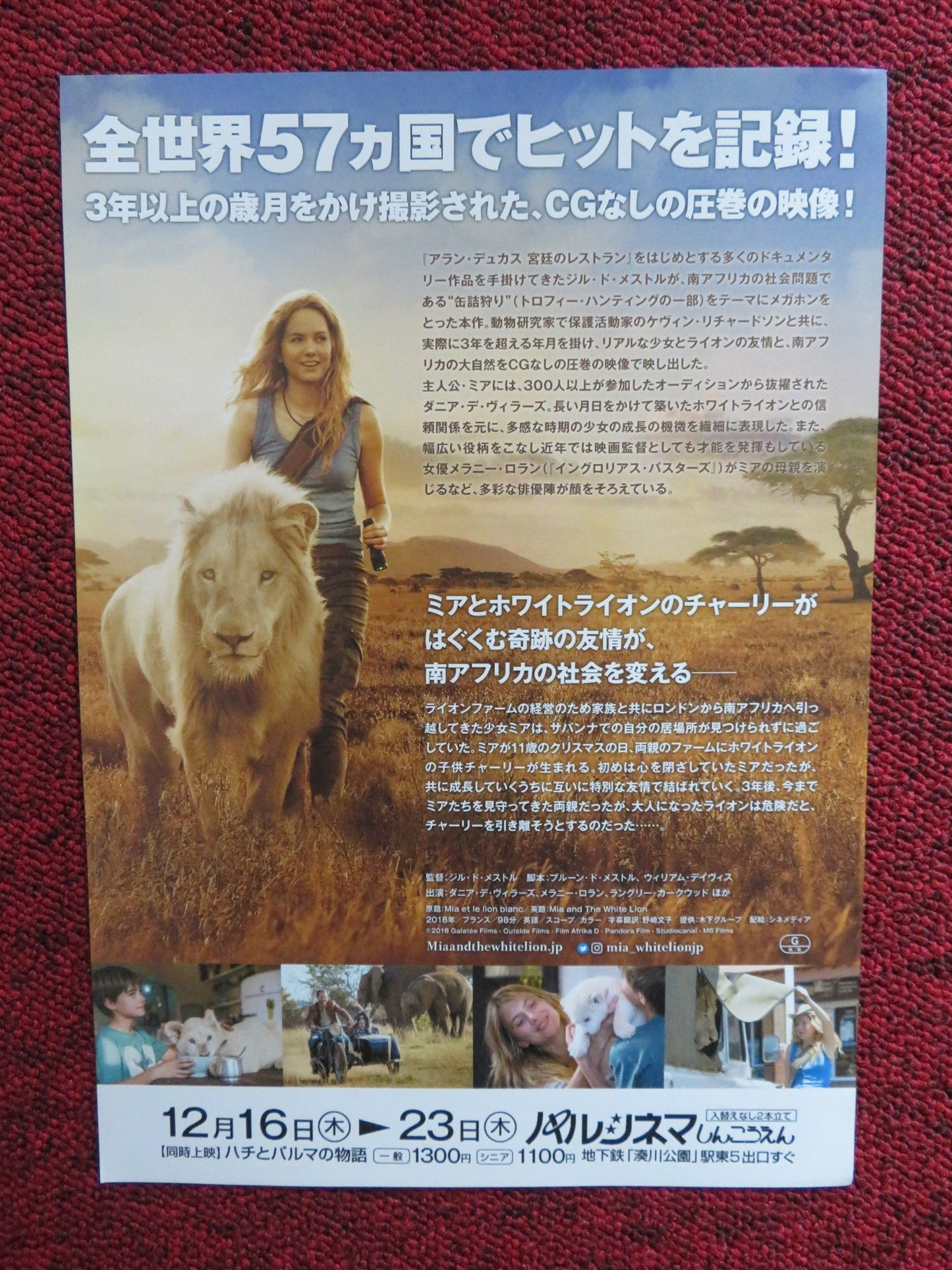 MIA AND THE WHITE LION JAPANESE CHIRASHI (B5) POSTER DANIAH DE VILLIERS 2018 Rendezvous Cinema Movie posters