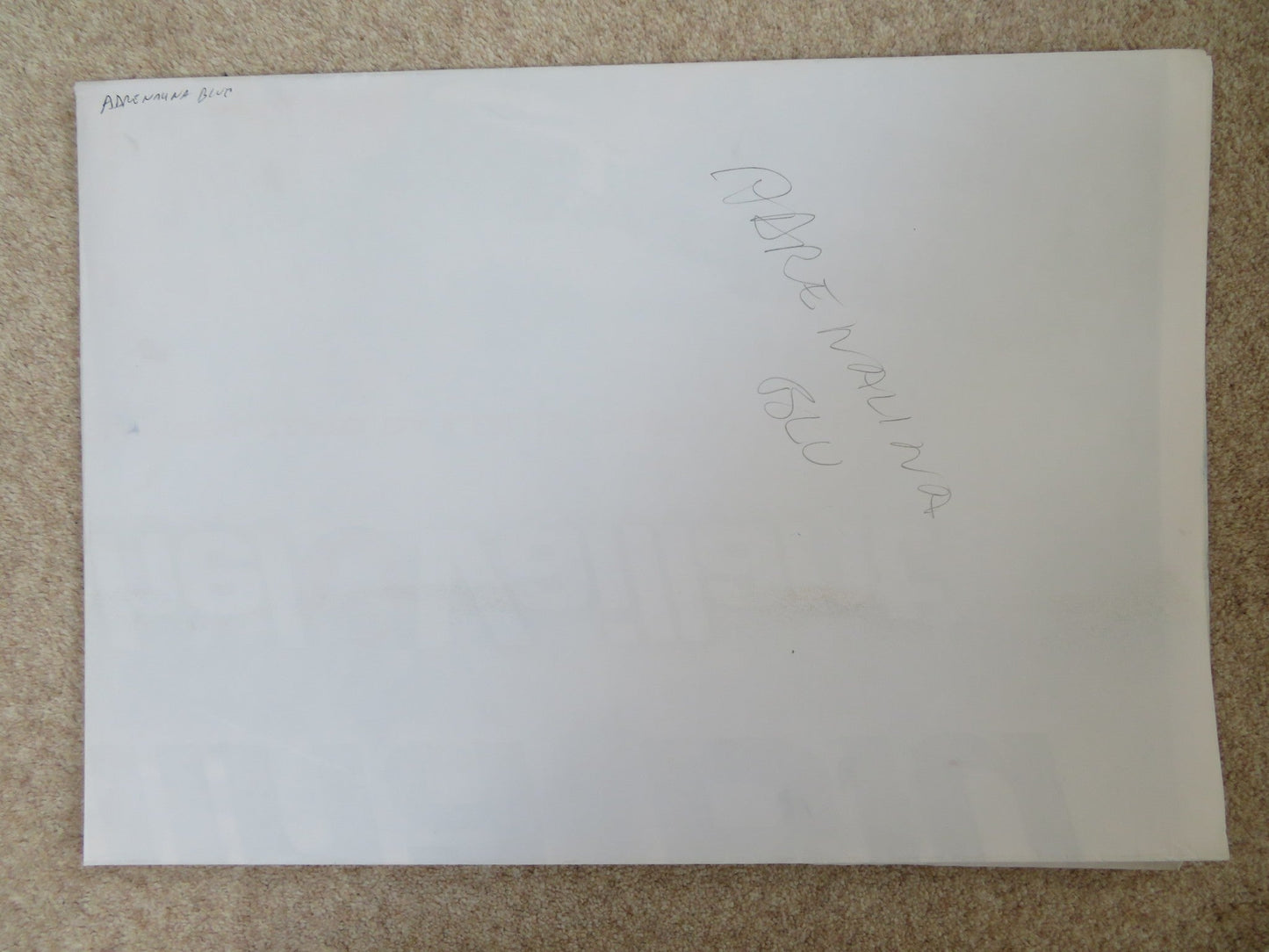 MICHEL VAILLANT ITALIAN 2 FOGLIO POSTER SAGAMORE STEVENIN PETER YOUNGBLOOD 2003 Rendezvous Cinema Movie posters