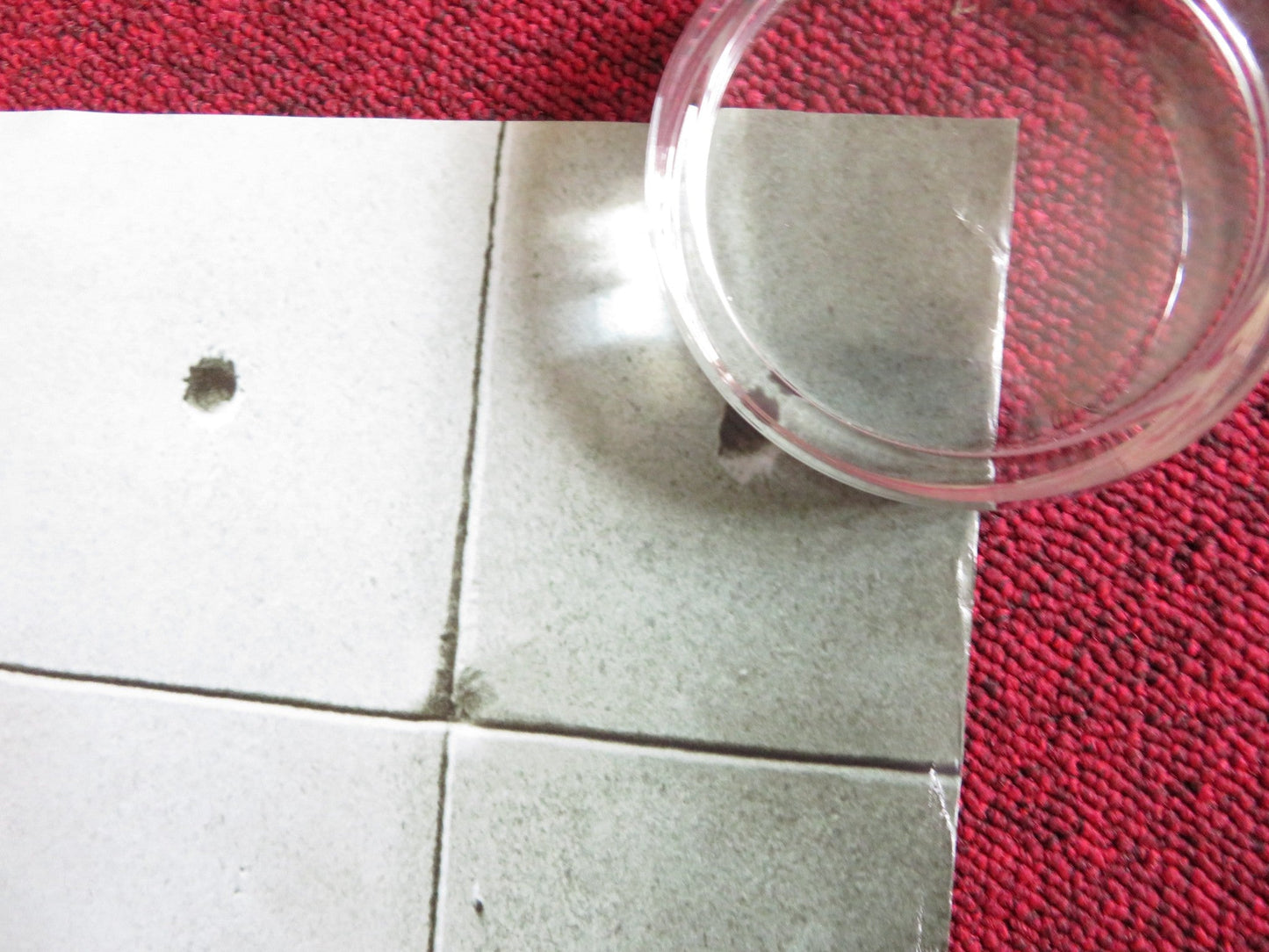 MORGAN US ONE SHEET ROLLED POSTER ANYA TAYLOR - JOY KATE MARA RIDLEY SCOTT 2016 Rendezvous Cinema Movie posters