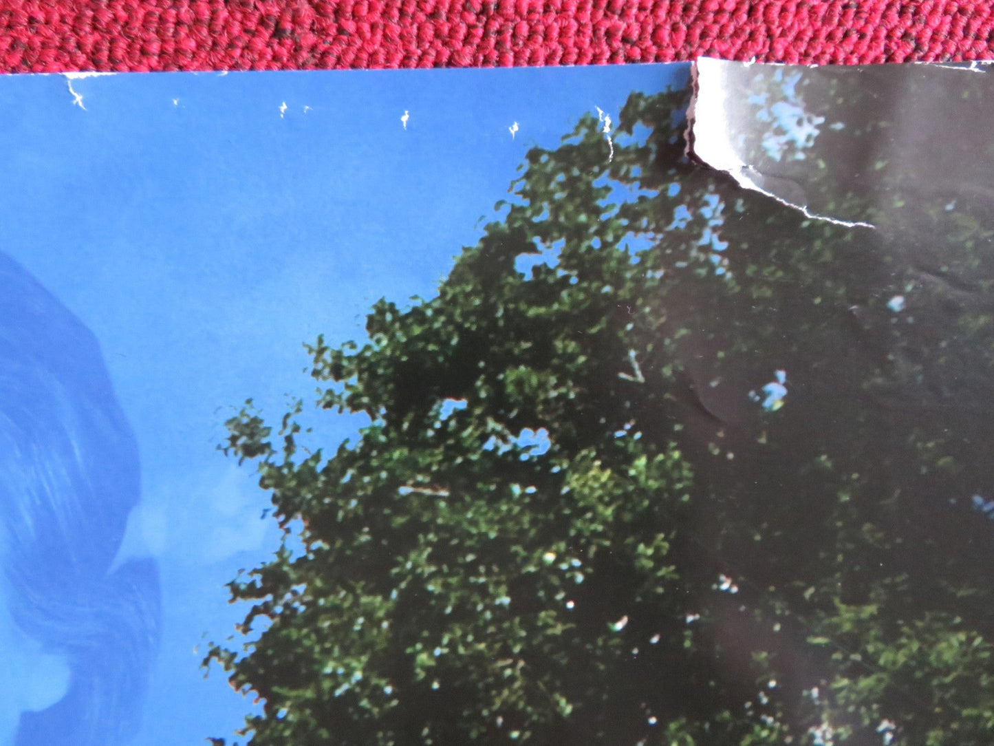 MORRIS: A LIFE WITH BELLS ON UK QUAD (30"x 40") ROLLED POSTER LUCY AKHURST 2009 Rendezvous Cinema Movie posters