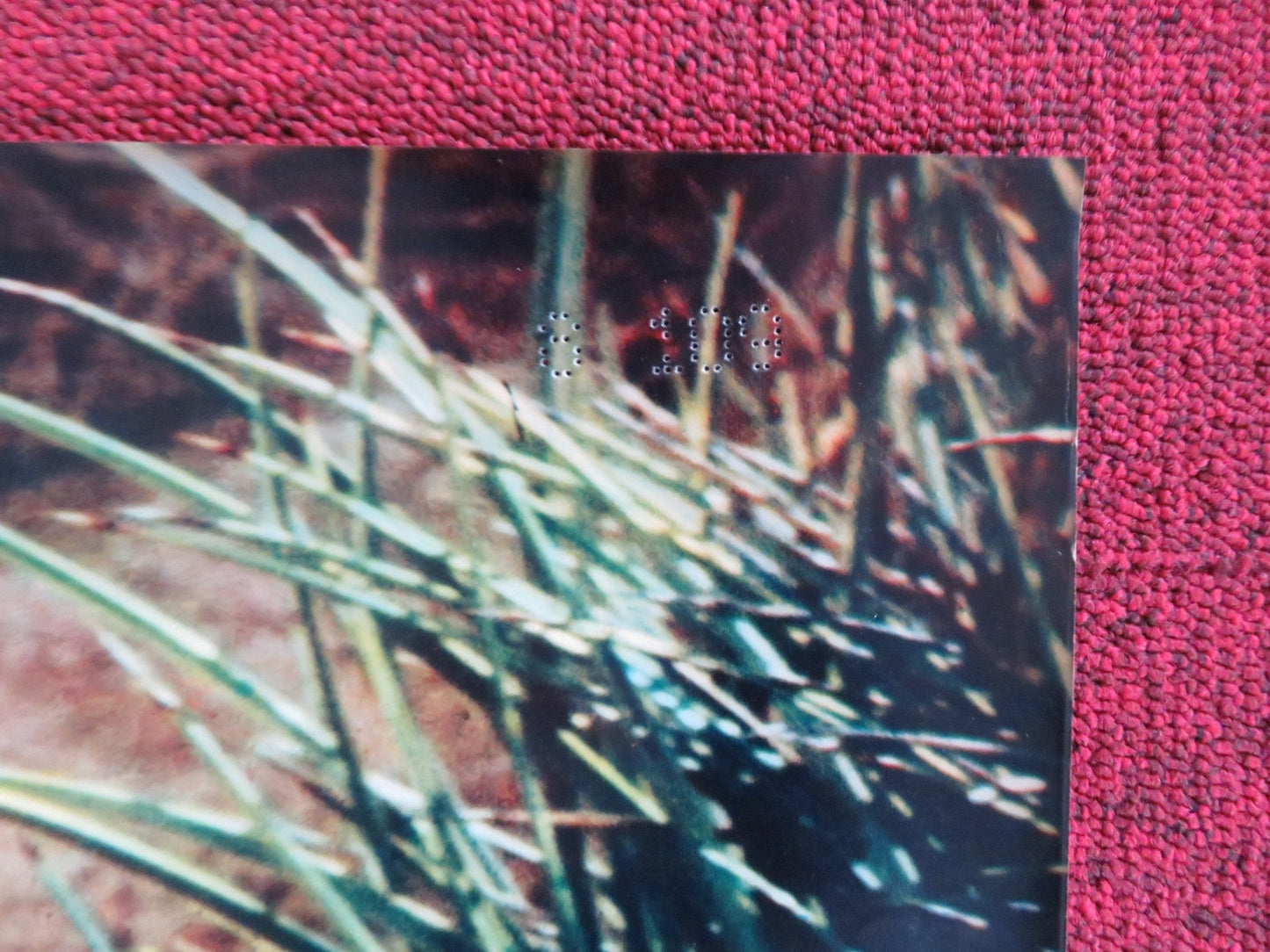 NIGHTMARE IN THE SUN - E ITALIAN FOTOBUSTA POSTER URSULA ANDRESS JOHN DEREK 1965 Rendezvous Cinema Movie posters