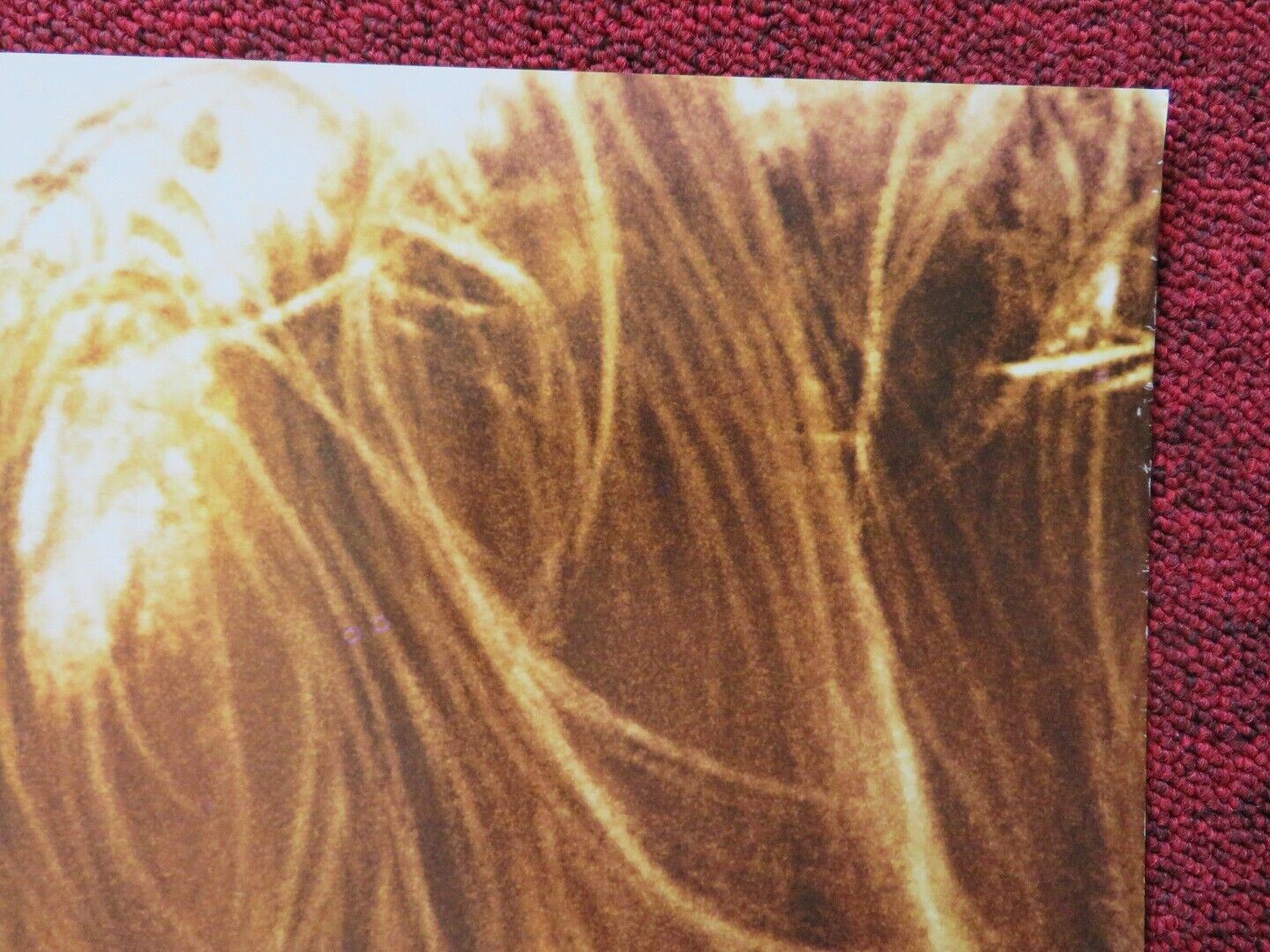 NIGHTS IN RODANTHE US ONE SHEET ROLLED POSTER RICHARD GERE DIANE LANE 2008 Movie posters