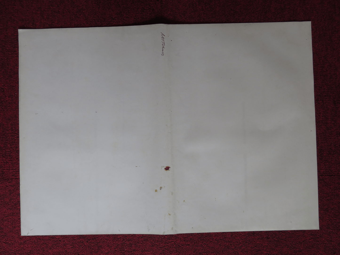 NOTTURNO - D ITALIAN FOTOBUSTA POSTER TONY MUSANTE CLAUDIO CASSINELLI 1981 Rendezvous Cinema Movie posters