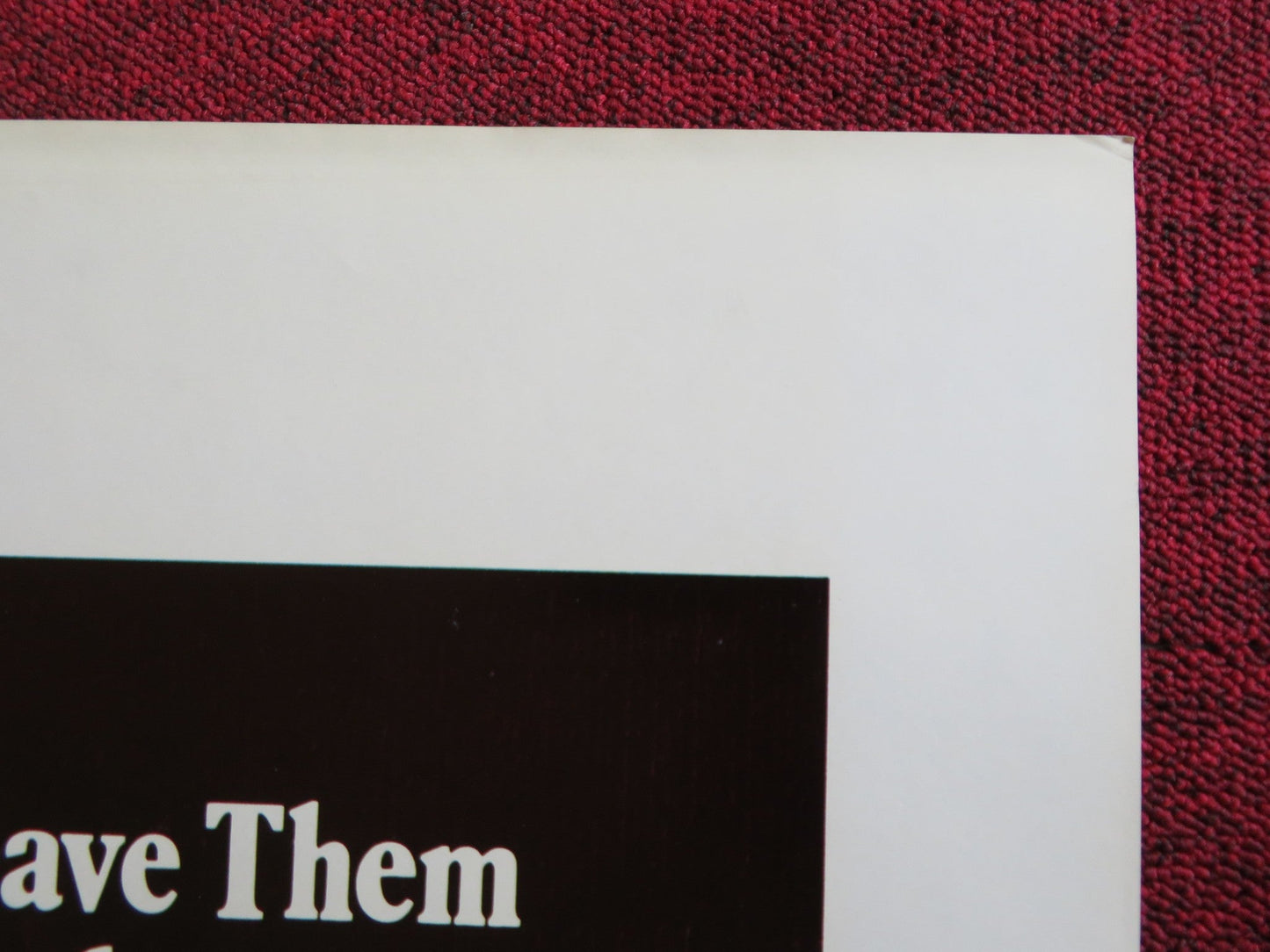 OCTAVIA US TRI FOLDED ONE SHEET ROLLED POSTER SUSAN CURTIS NEIL KINSELLA 1982 Rendezvous Cinema Movie posters