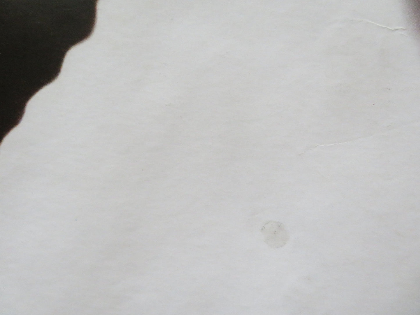 OLIVER TWIST UK QUAD (30"x 40") ROLLED POSTER BARNEY CLARK JEREMY SWIFT 2005 Rendezvous Cinema Movie posters