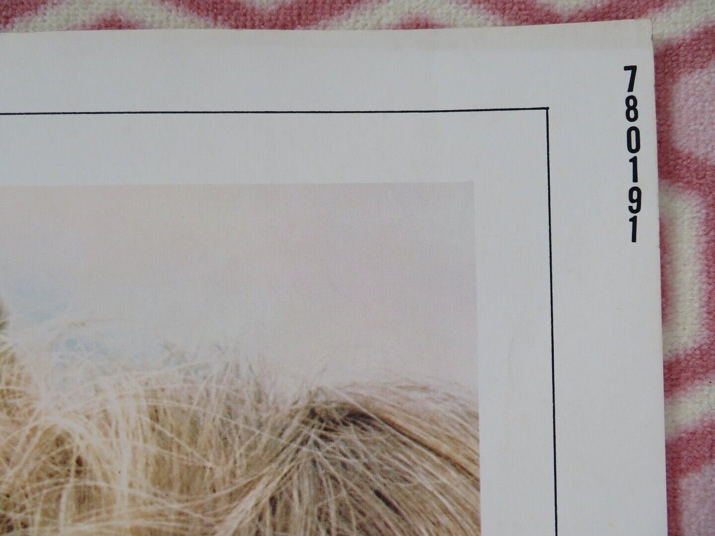 OLIVER'S STORY US HALF SHEET (22"x 28") POSTER RYAN O'NEAL CANDICE BERGEN 1978 Movie posters