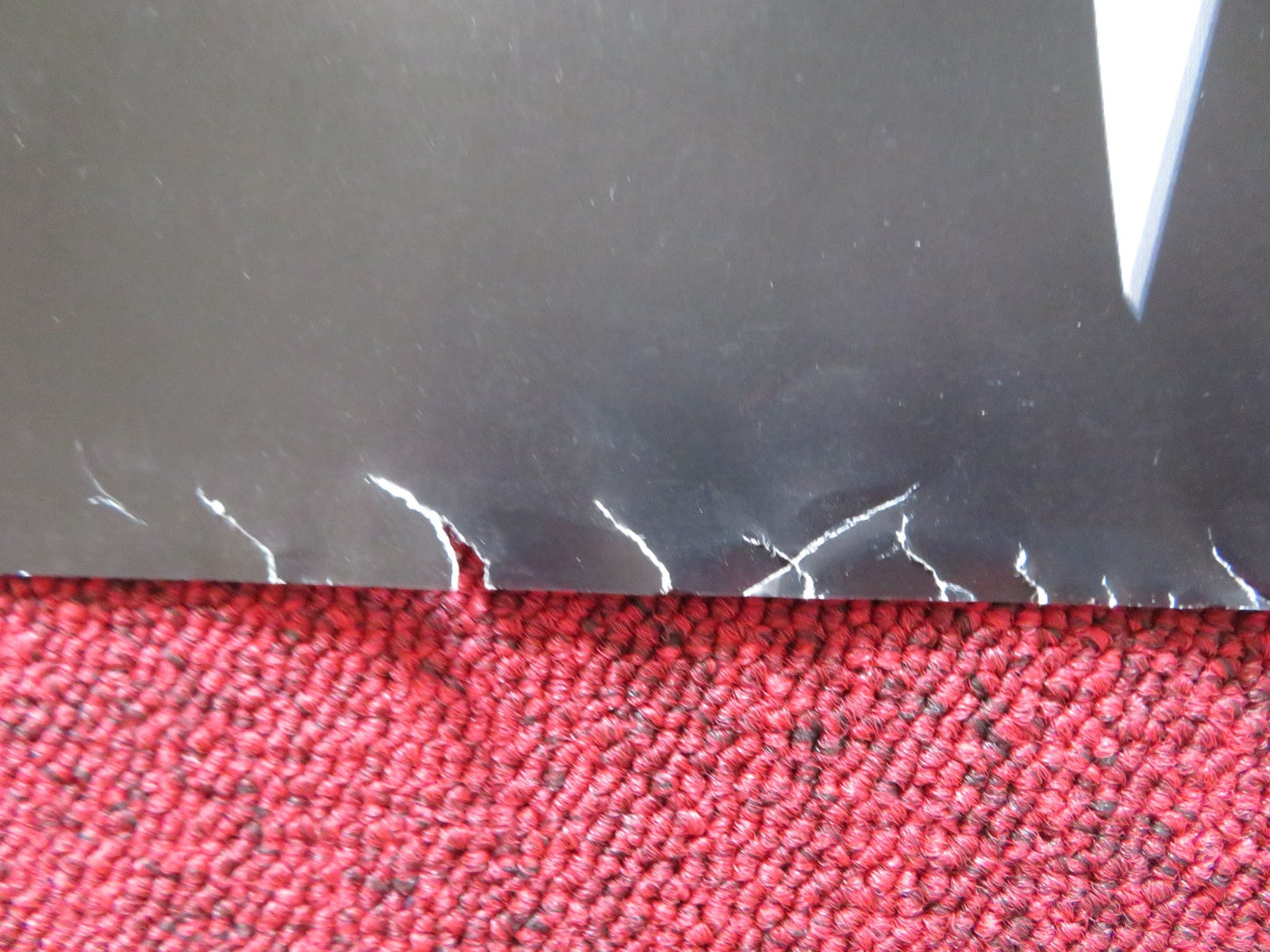 PATHOLOGY UK QUAD ROLLED POSTER MILO VENTIMIGLIA MICHAEL WESTON 2008 Rendezvous Cinema Movie posters