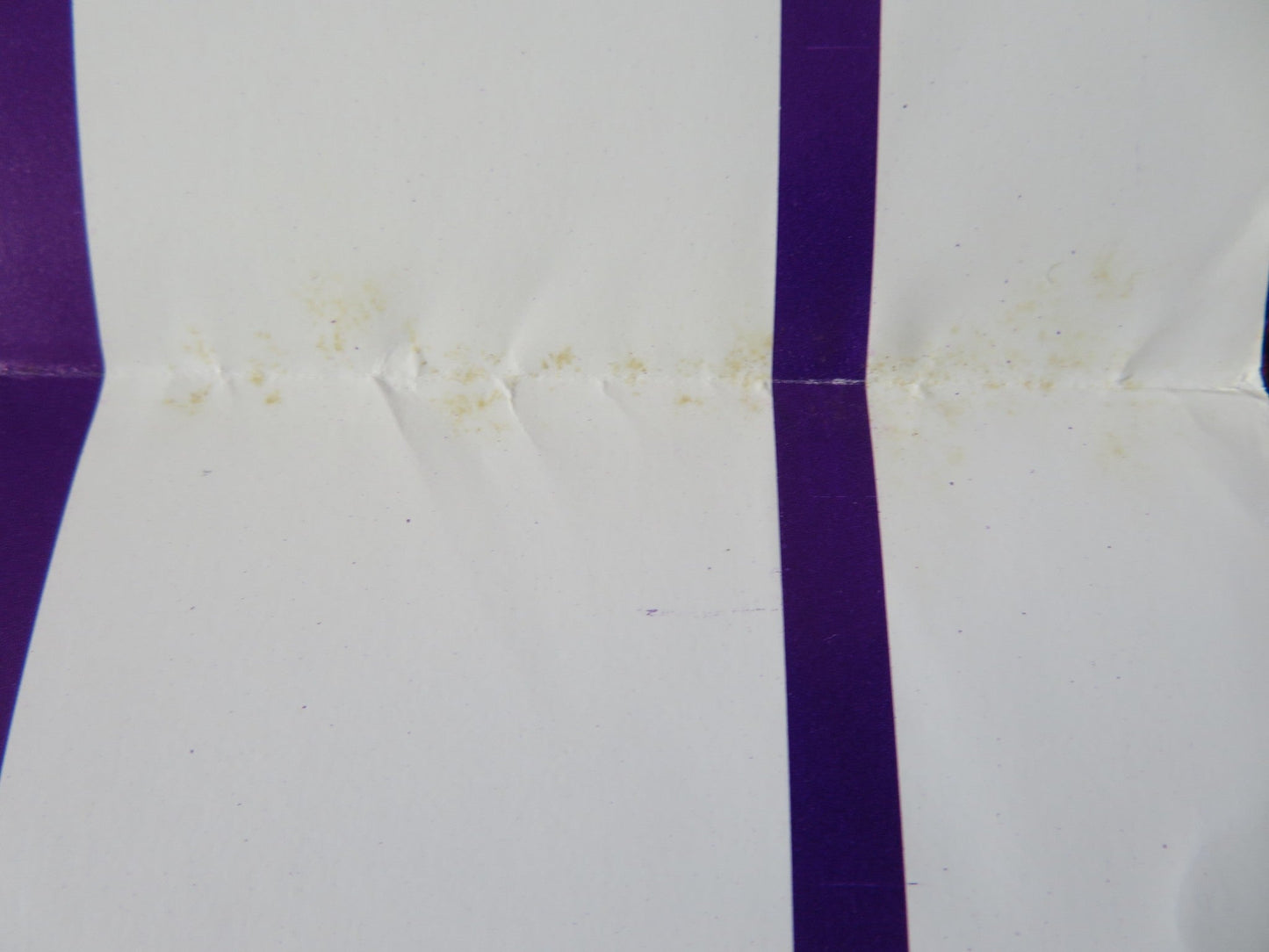 PORTRAIT US TRI FOLDED ONE SHEET ROLLED POSTER RITA DAVIS JAMIE GILLIS 1974 Rendezvous Cinema Movie posters