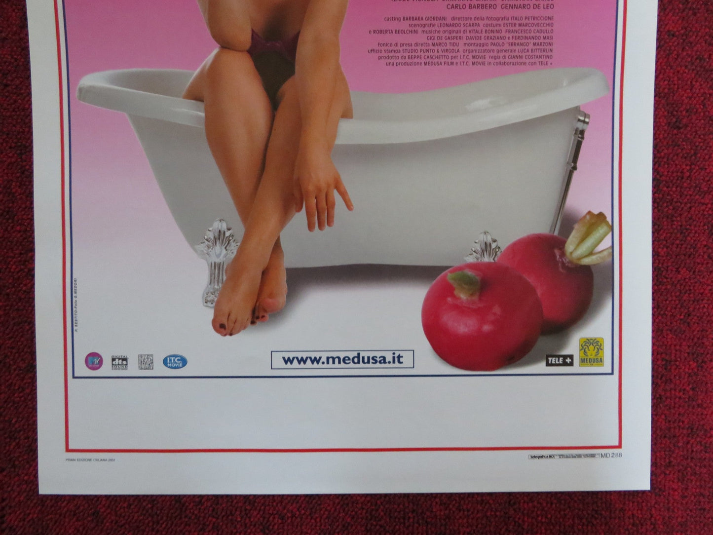 RAVANELLO PALLIDO ITALIAN LOCANDINA POSTER LUCIANA LITTIZZETTO 2001 Rendezvous Cinema Movie posters