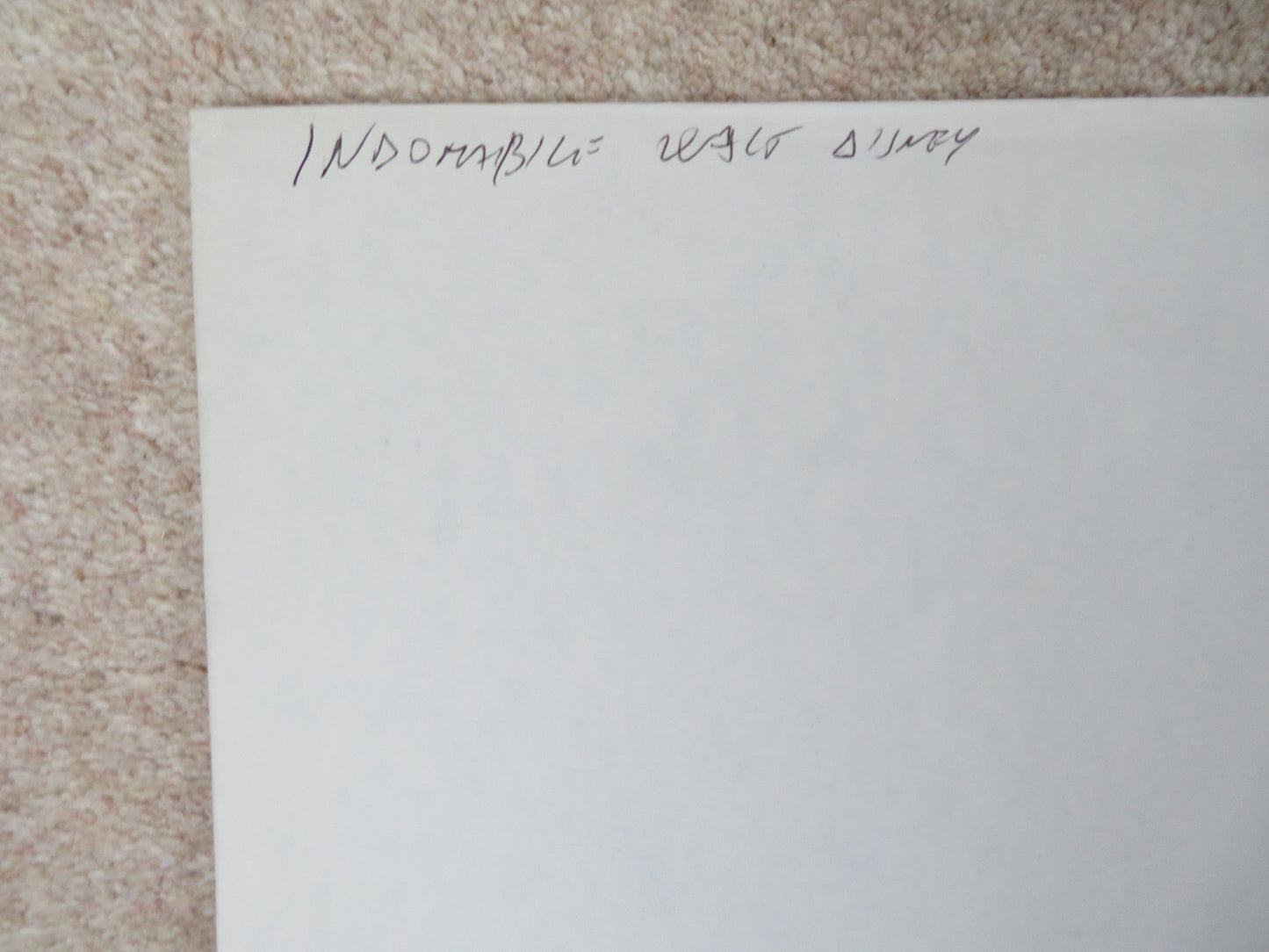 RETURN TO SNOWY RIVER ITALIAN 2 FOGLIO POSTER DISNEY TOM BURLINSON 1988 Rendezvous Cinema Movie posters