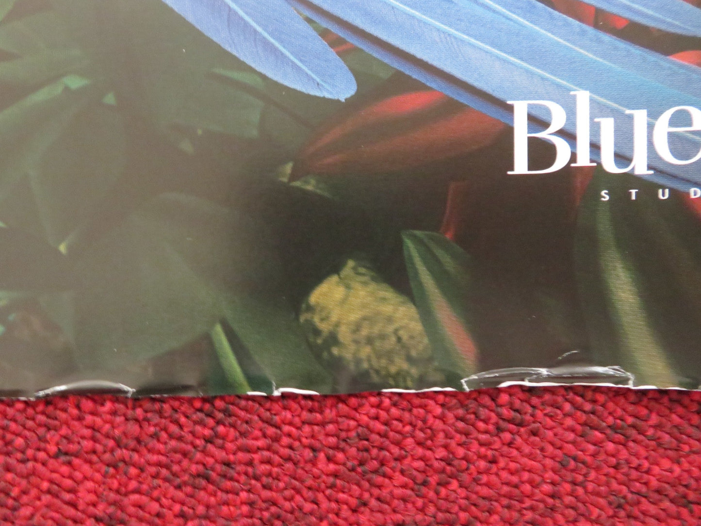 RIO 2 - A UK QUAD (30"x 40") ROLLED POSTER JAKE T. AUSTIN CARLINHOS BROWN 2014 Rendezvous Cinema Movie posters