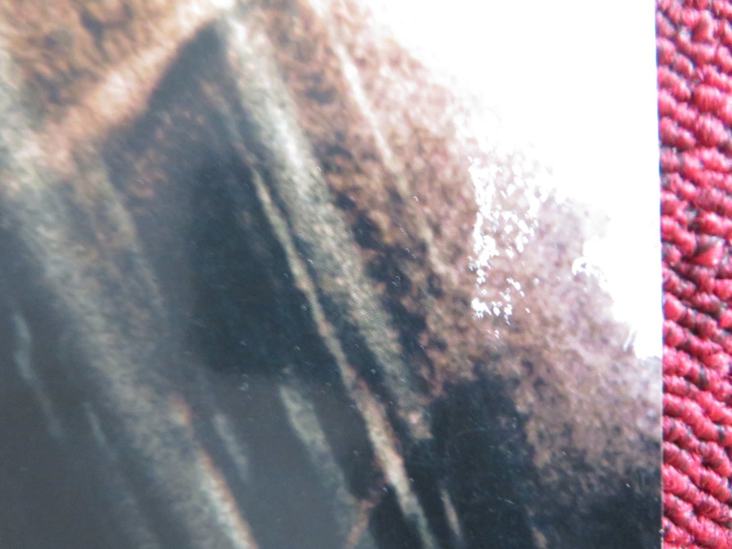 ROAD TO PERDITION US ONE SHEET ROLLED POSTER TOM HANKS PAUL NEWMAN 2002 Rendezvous Cinema Movie posters