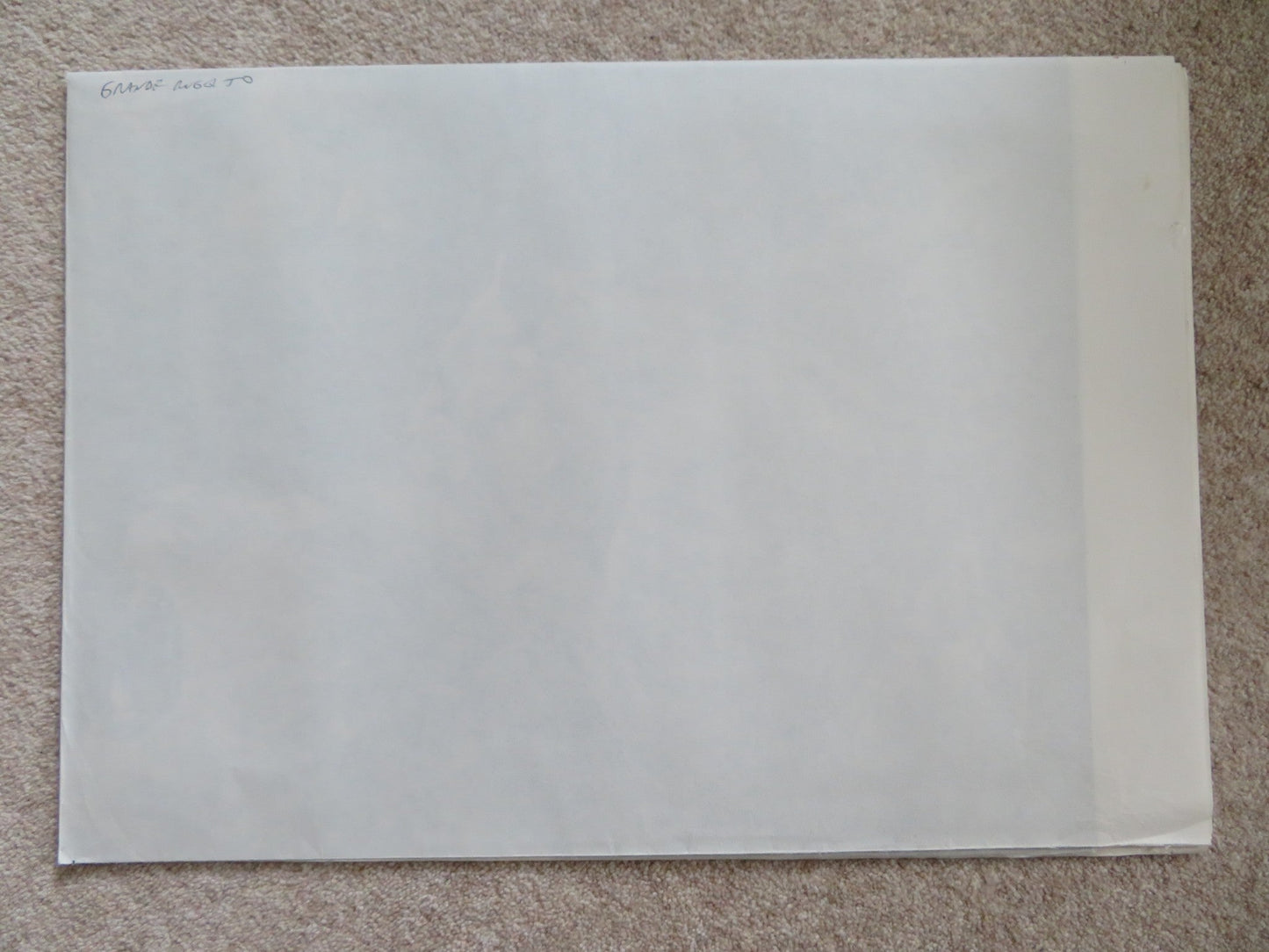 ROAR ITALIAN 2 FOGLIO POSTER TIPPI HEDREN NOEL MARSHALL 1981 Rendezvous Cinema Movie posters