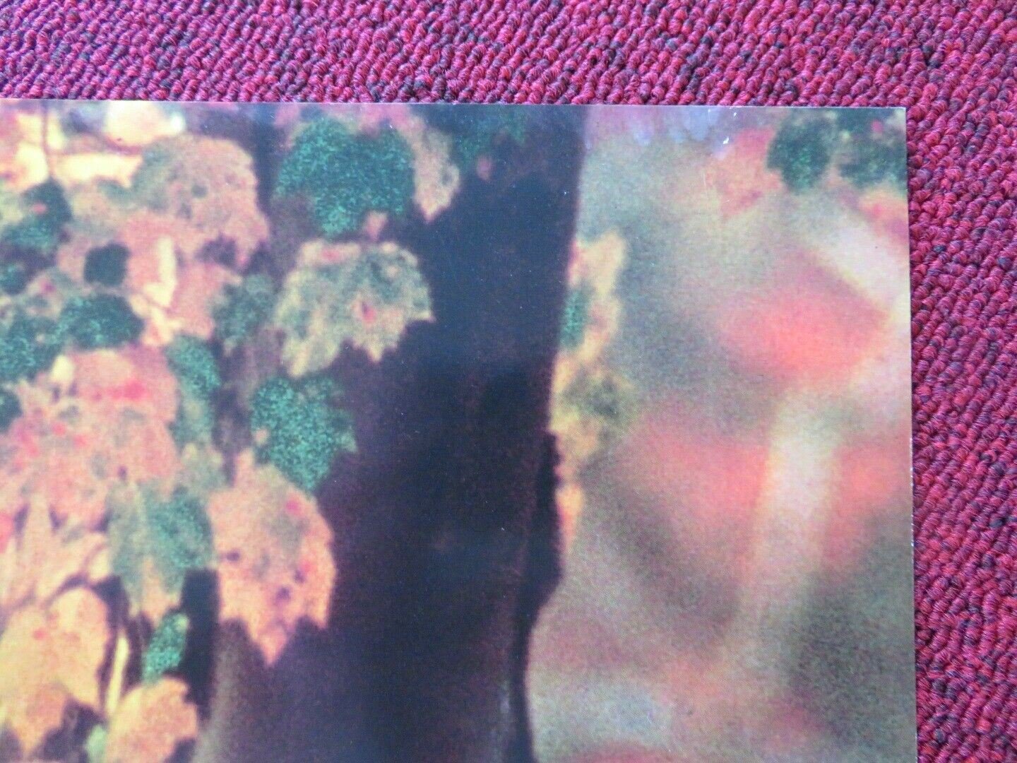 ROOMMATES FOLDED US ONE SHEET POSTER PETER FALK D.B.SWEENEY 1995 Movie posters