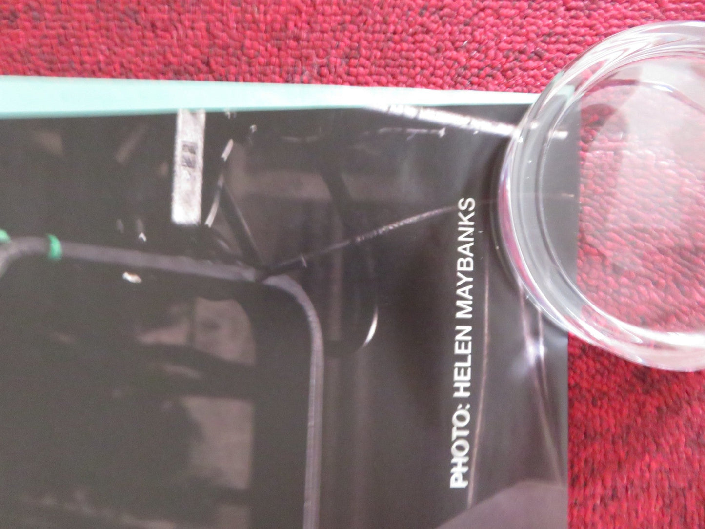 ROSENCRANTZ & THE GUILDENSTERN ARE DEAD UK QUAD ROLLED POSTER D. RADCLIFFE 2017 Rendezvous Cinema Movie posters