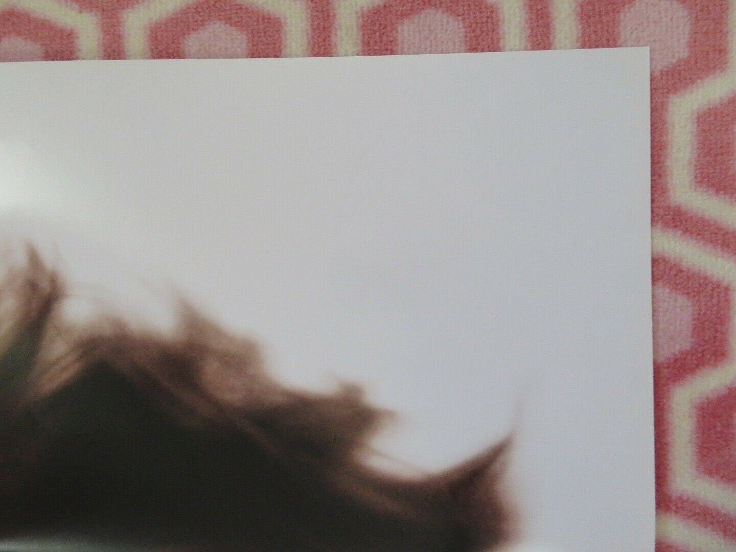 SCHOOL OF ROCK US ONE SHEET POSTER JACK BLACK 2003 Movie posters