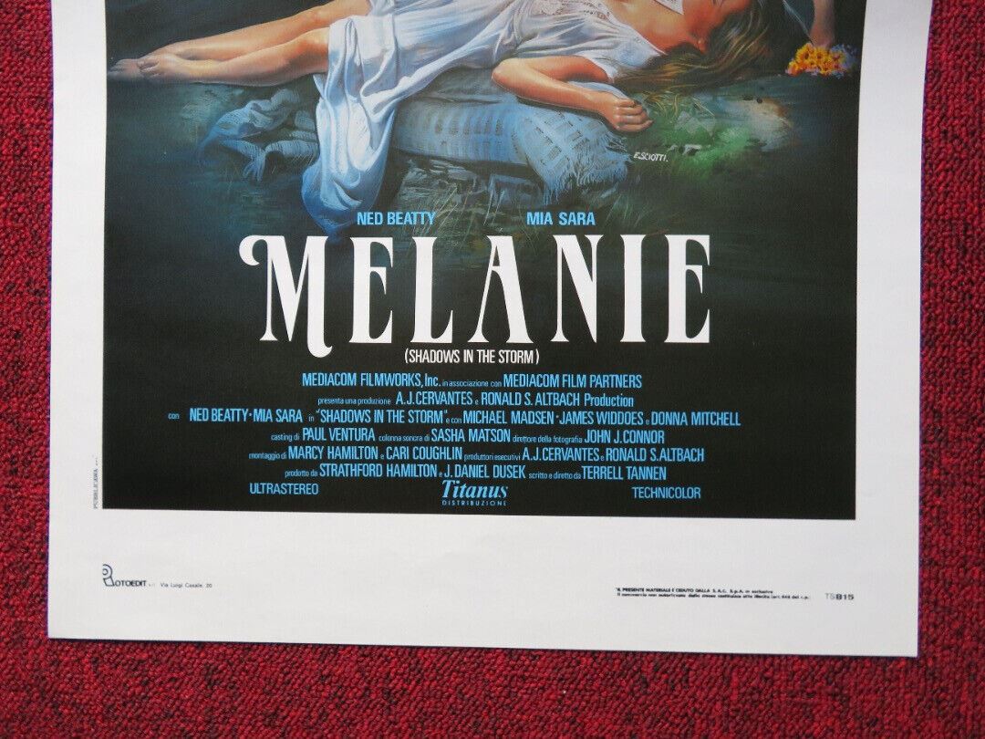 SHADOWS IN THE STORM ITALIAN LOCANDINA (27.5"x13") POSTER NED BEATTY 1988 Movie posters