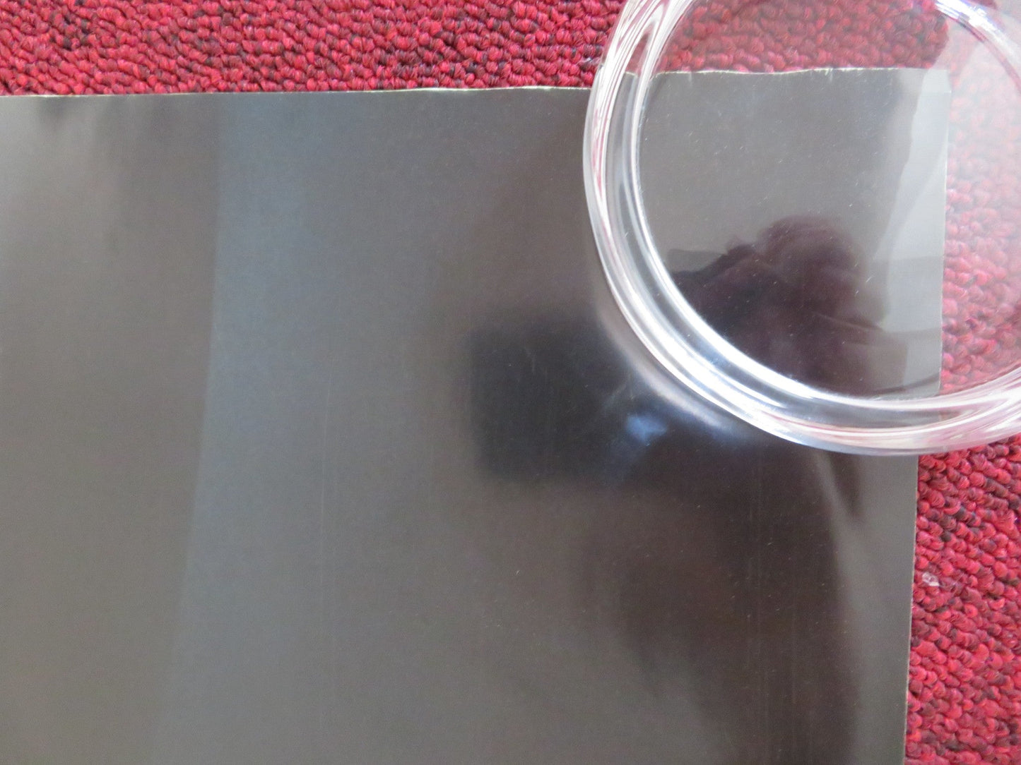 SHARK NIGHT UK QUAD ROLLED POSTER SARA PAXTON DUSTIN MILLIGAN 2011 Rendezvous Cinema Movie posters