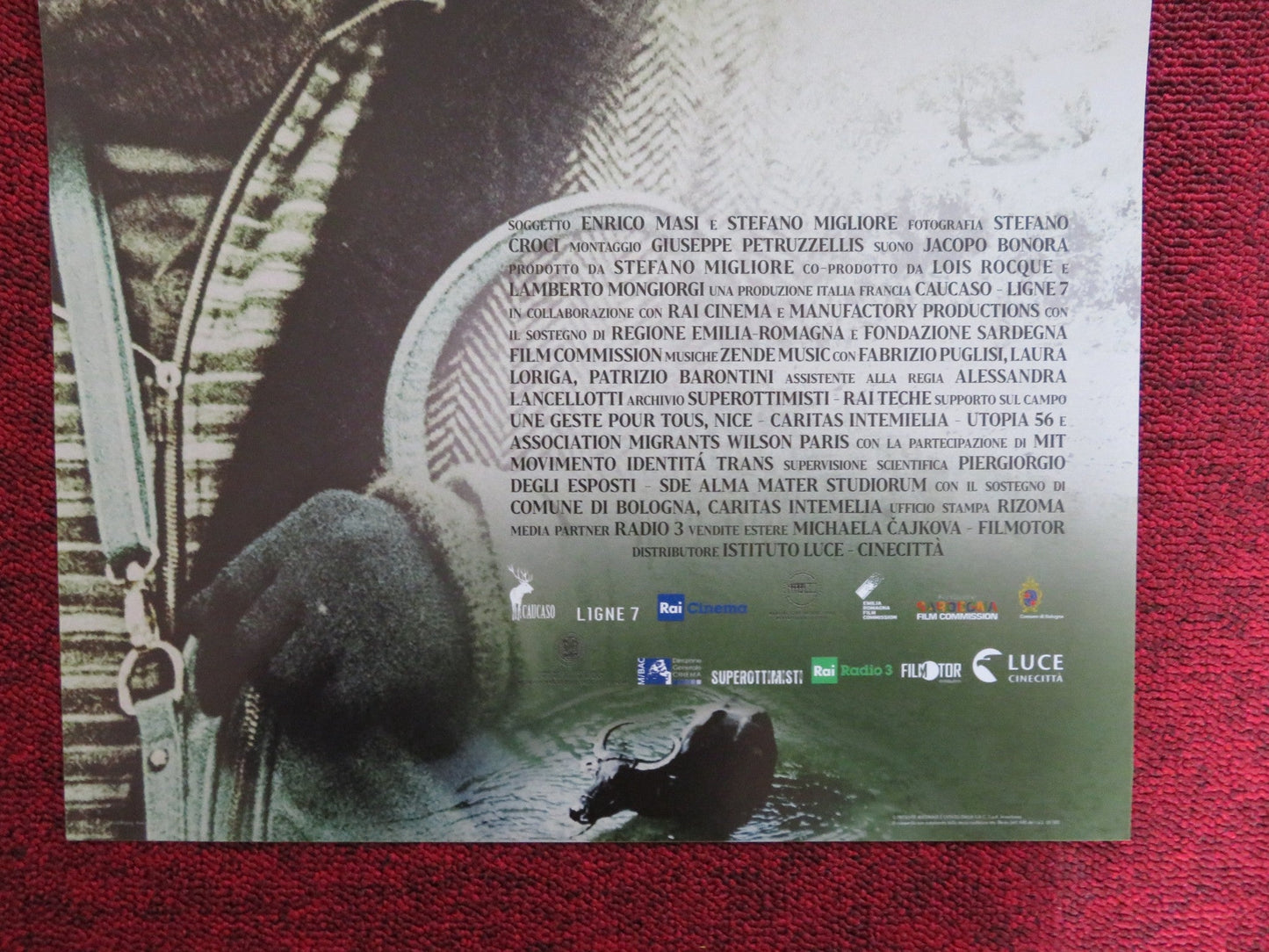 SHELTER FAREWELL TO EDEN ITALIAN LOCANDINA POSTER PEPSI CATHERINE WIHTOL 2019 Rendezvous Cinema Movie posters