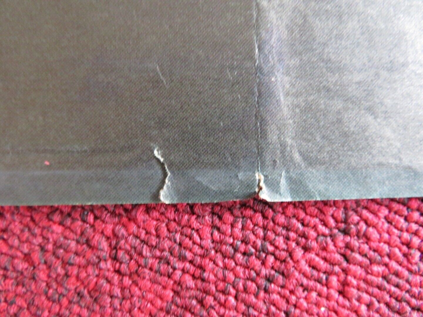 SHE'S 19 AND READY SPANISH ROLLED POSTER EKKEHARDT BELLE SABINE WOLLIN 1979 Movie posters