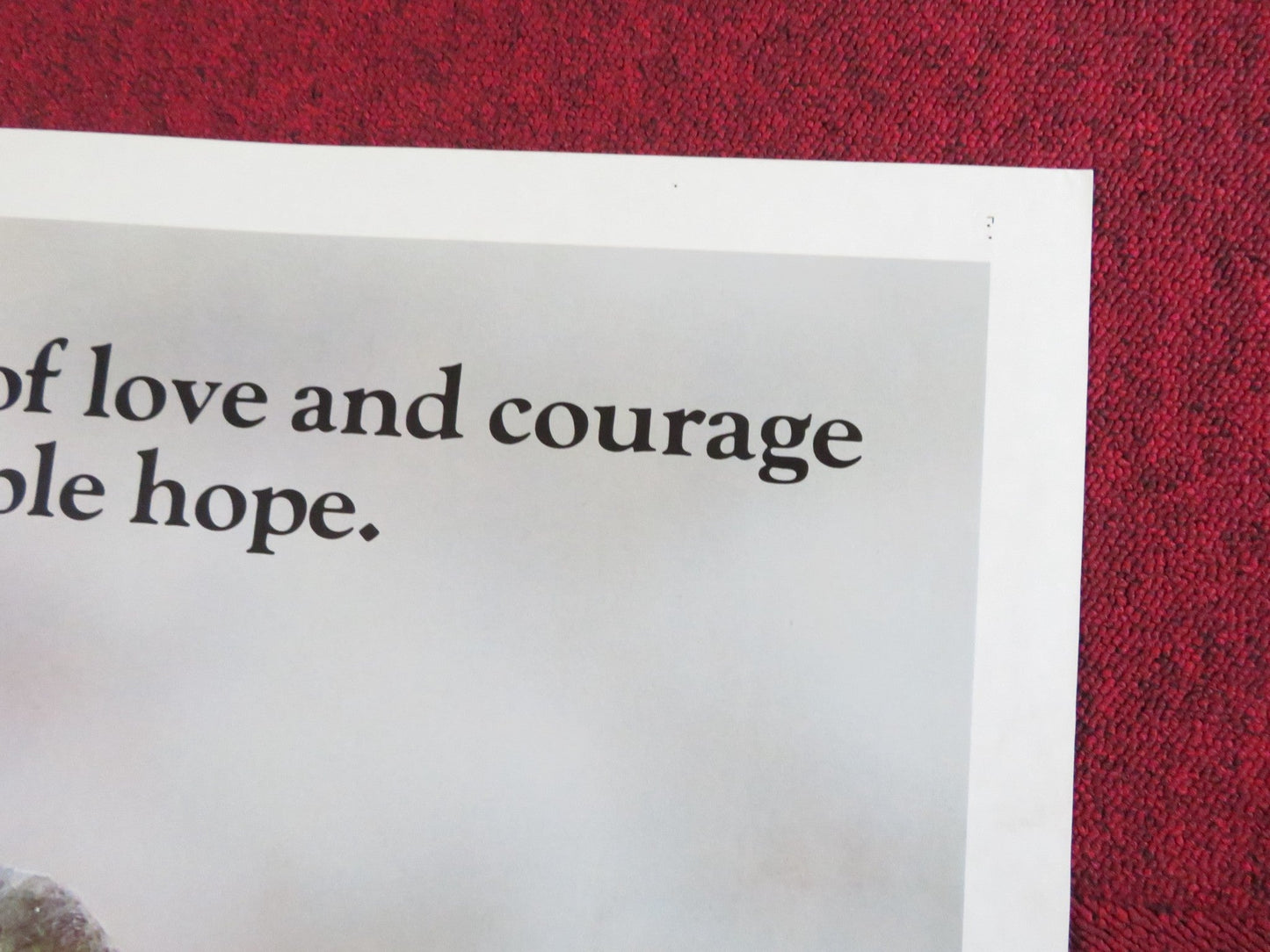 SILENCE OF THE NORTH FOLDED US ONE SHEET POSTER ELLEN BURSTYN TOM SKERRITT 1981 Rendezvous Cinema Movie posters