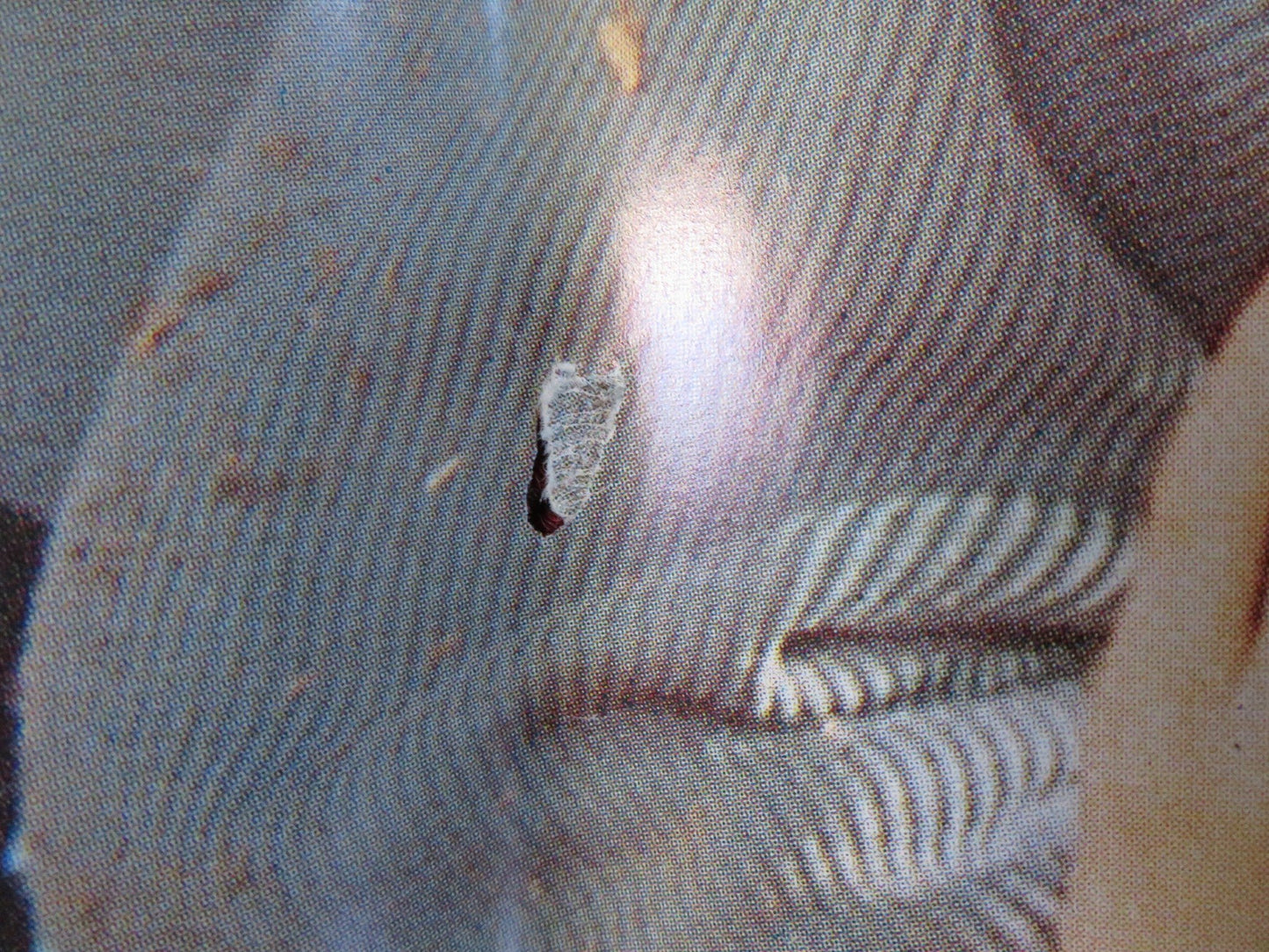 SLEEPWALKERS - F ITALIAN FOTOBUSTA POSTER STEPHEN KING BRIAN KRAUSE 1992 Rendezvous Cinema Movie posters