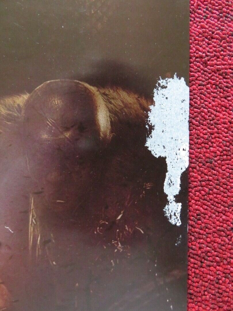 SNOW WHITE AND THE HUNTSMAN US ONE SHEET ROLLED POSTER KRISTEN STEWART 2012 Movie posters