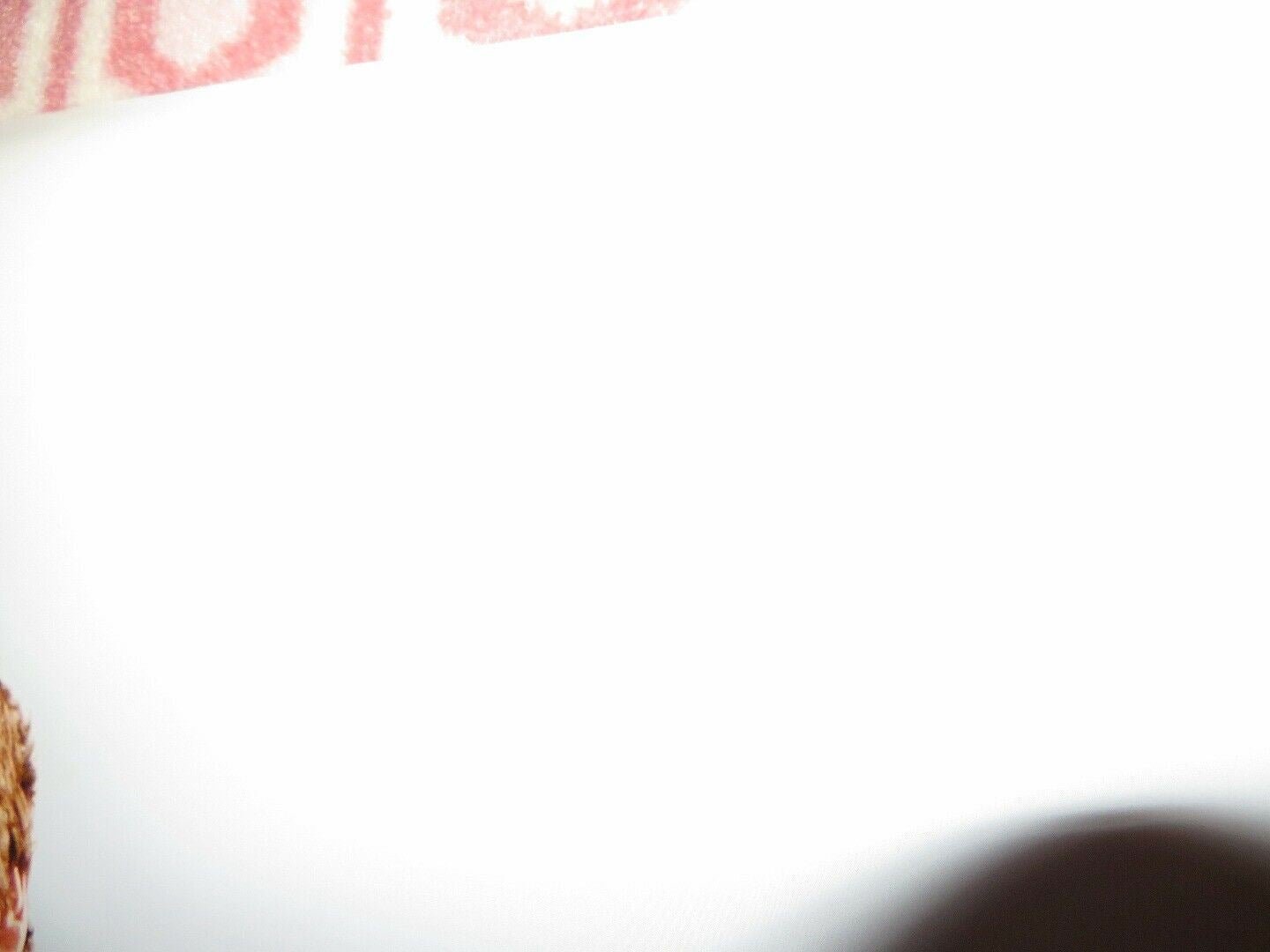 SPANGLISH US ROLLED POSTER ADAM SANDLER TEA LEONI 2004 Movie posters