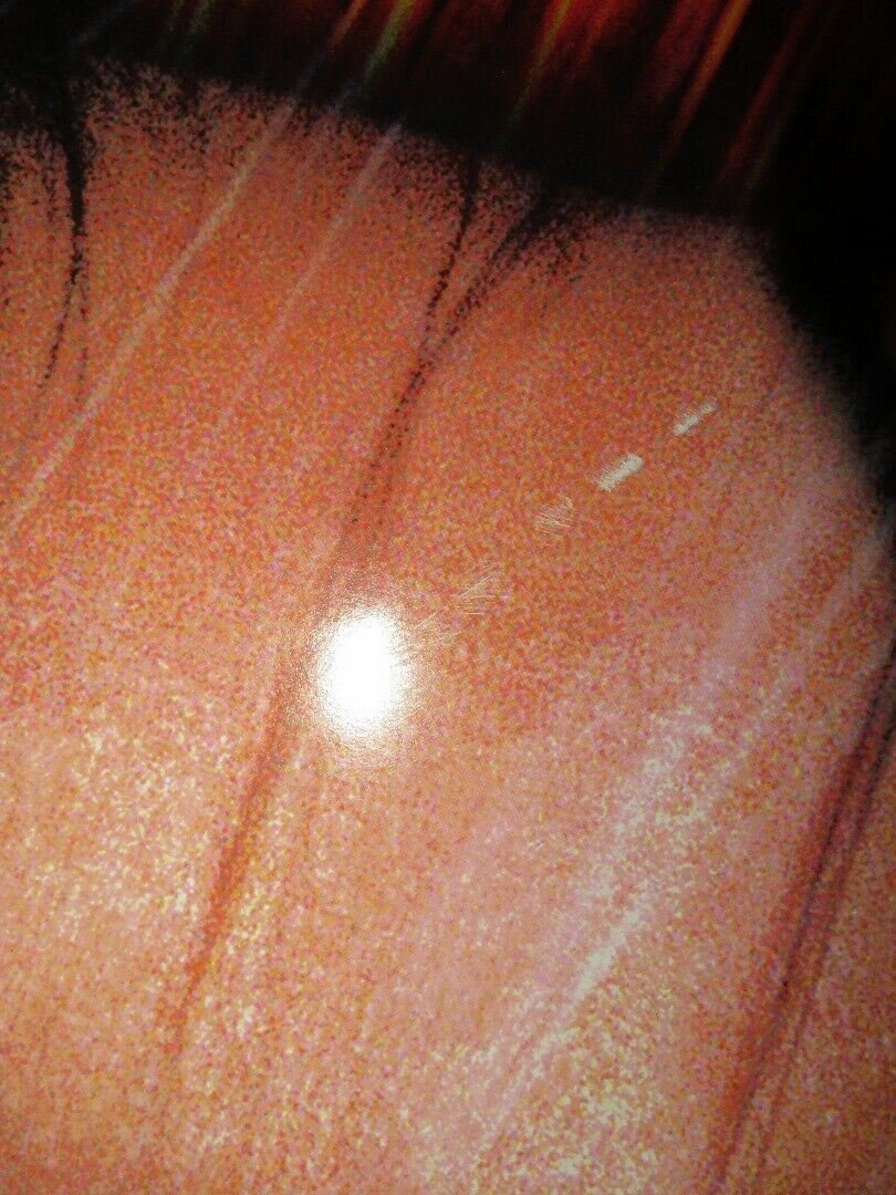 SPEED 2 US ONE SHEET ROLLED POSTER SANDRA BULLOCK JASON PATRIC 1997 Movie posters