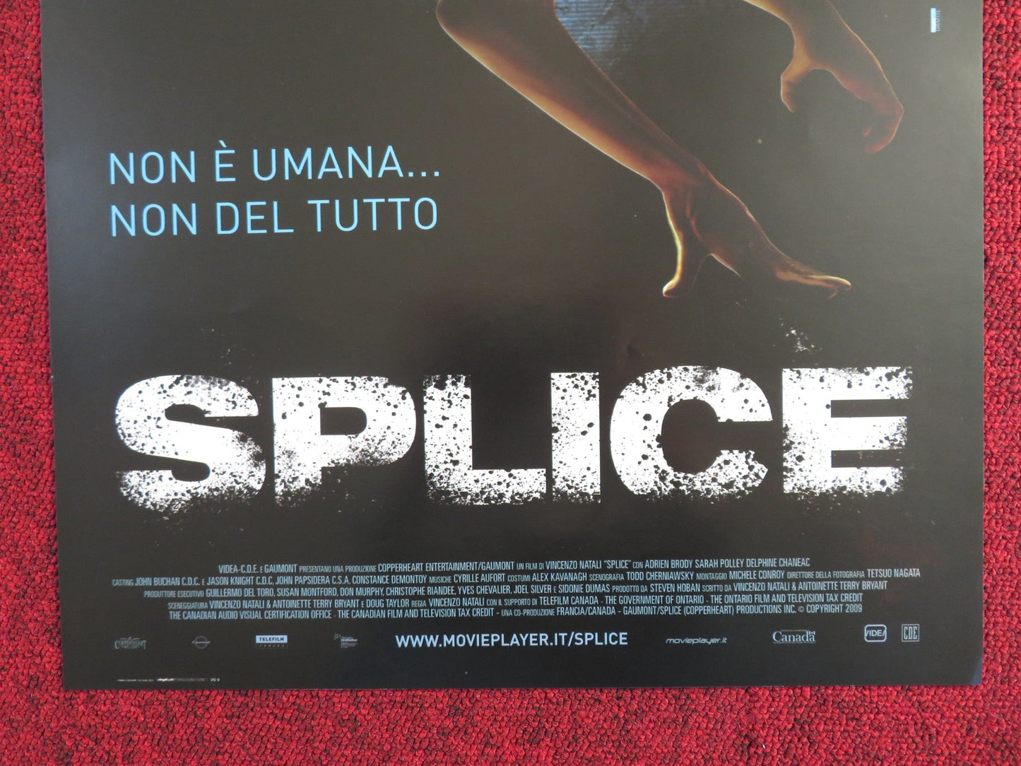 SPLICE ITALIAN LOCANDINA POSTER ADRIEN BRODY SARAH POLLEY 2009 Rendezvous Cinema Movie posters