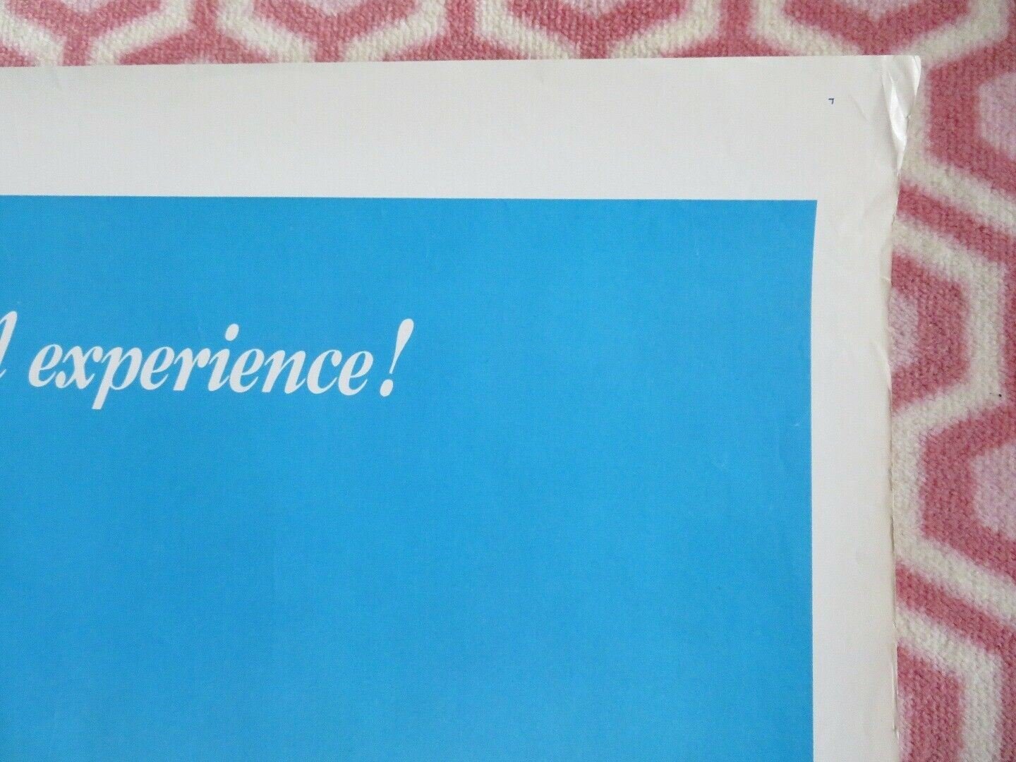 STARBIRD AND SWEET WILLIAM ONE SHEET ROLLED POSTER A.MARTINEZ 1973 Movie posters