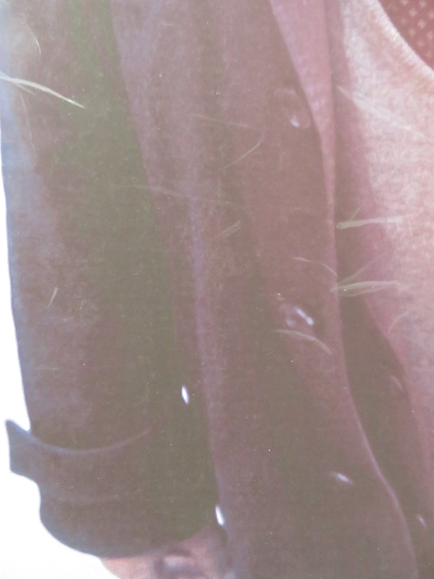 STILL LIFE UK QUAD (30"x 40") ROLLED POSTER EDDIE MARSAN JOANNE FROGGATT 2013 Rendezvous Cinema Movie posters