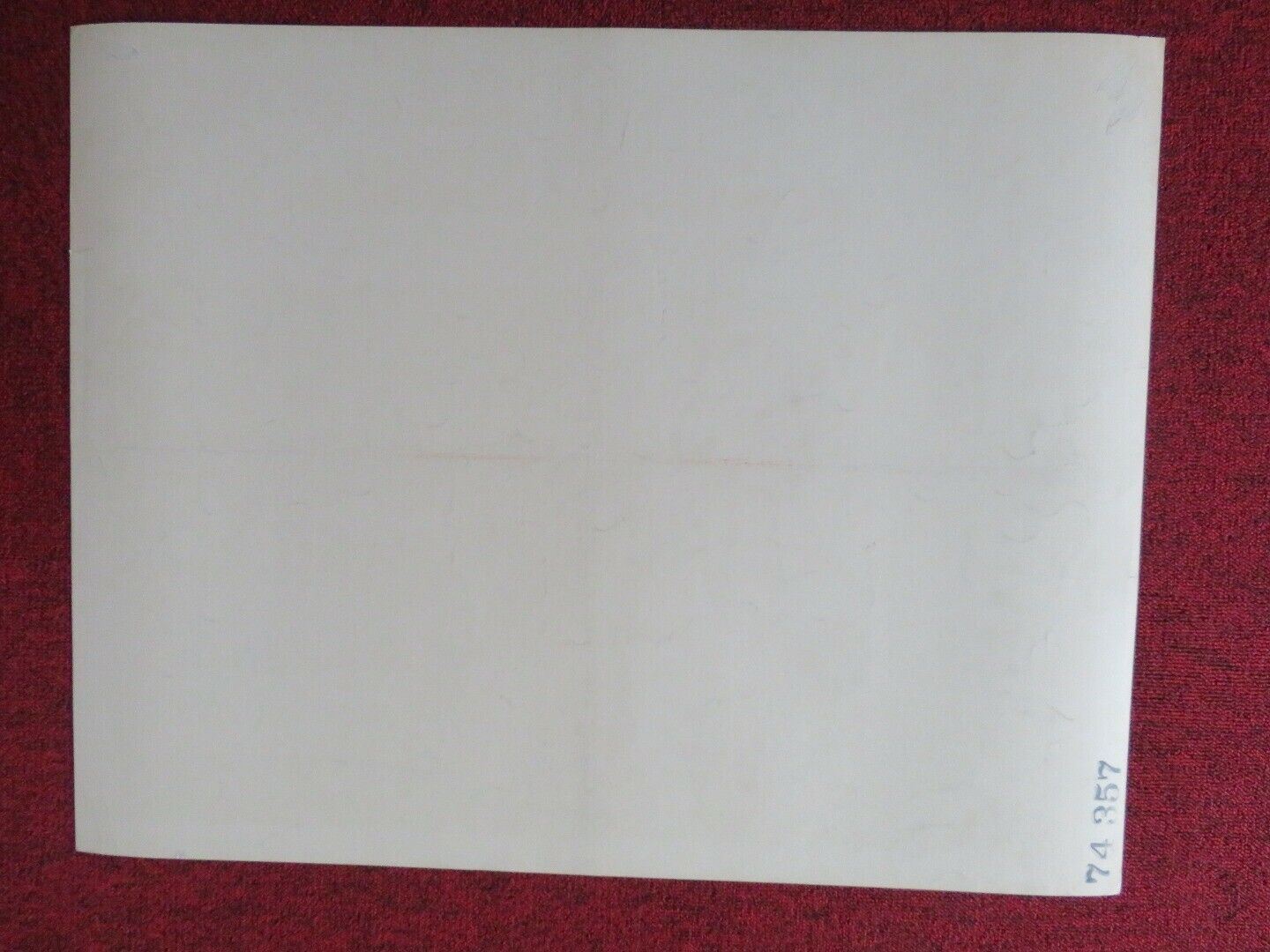 SUNDAY IN THE COUNTRY US HALF SHEET (22"x 28") POSTER ERNEST BORGNINE 1974 - Rendezvous Cinema