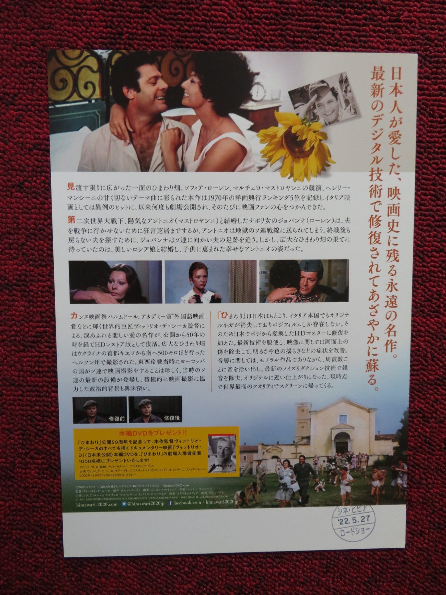 SUNFLOWER JAPANESE CHIRASHI (B5) POSTER SOPHIA LOREN MASTROIANNI 2020 1970R Rendezvous Cinema Movie posters