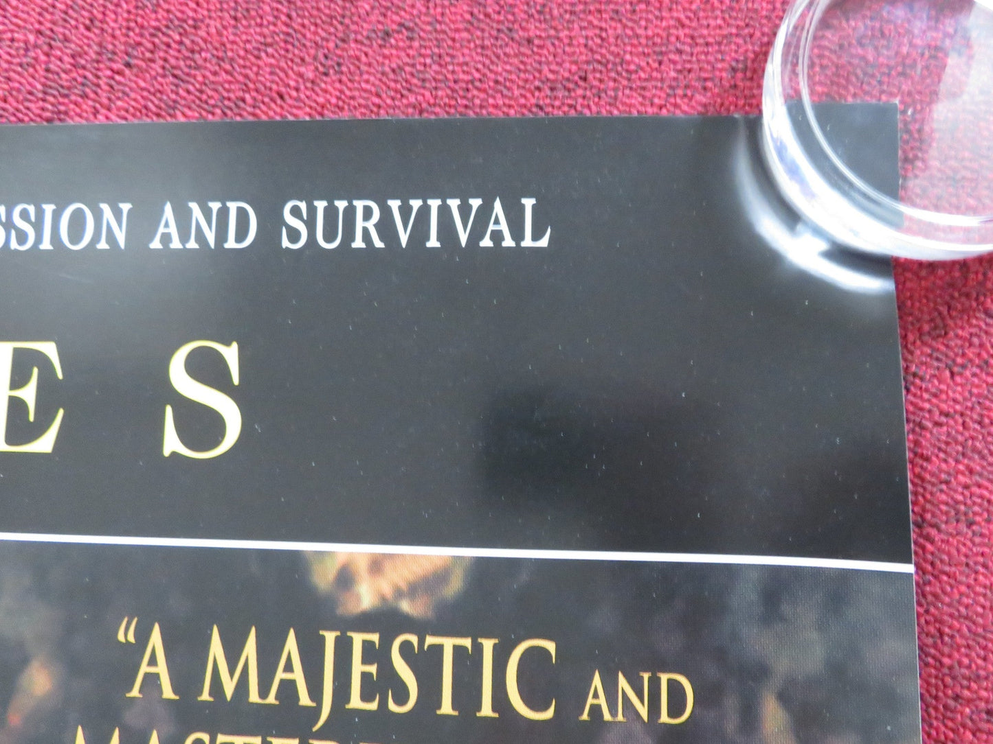 SUNSHINE UK QUAD (30"x 40") ROLLED POSTER RALPH FIENNES ROSEMARY HARRIS 1999 Rendezvous Cinema Movie posters