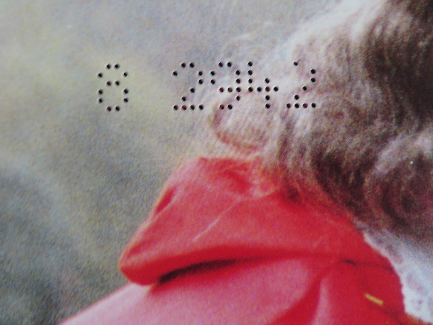 SWASHBUCKLER - B ITALIAN FOTOBUSTA POSTER JEAN - PAUL BELMONDO 1971 Rendezvous Cinema Movie posters