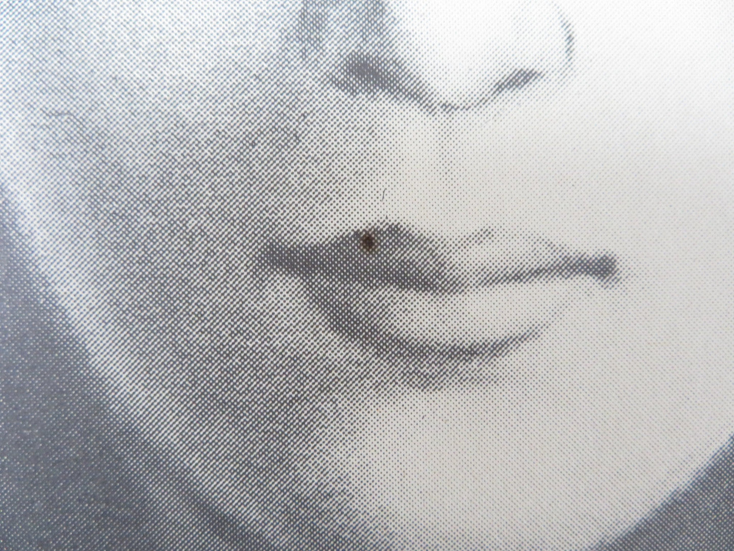 SWEET AGONY US TRI FOLDED ONE SHEET ROLLED POSTER JOAN DEVLON CLAIRE JAMES 1974 Rendezvous Cinema Movie posters