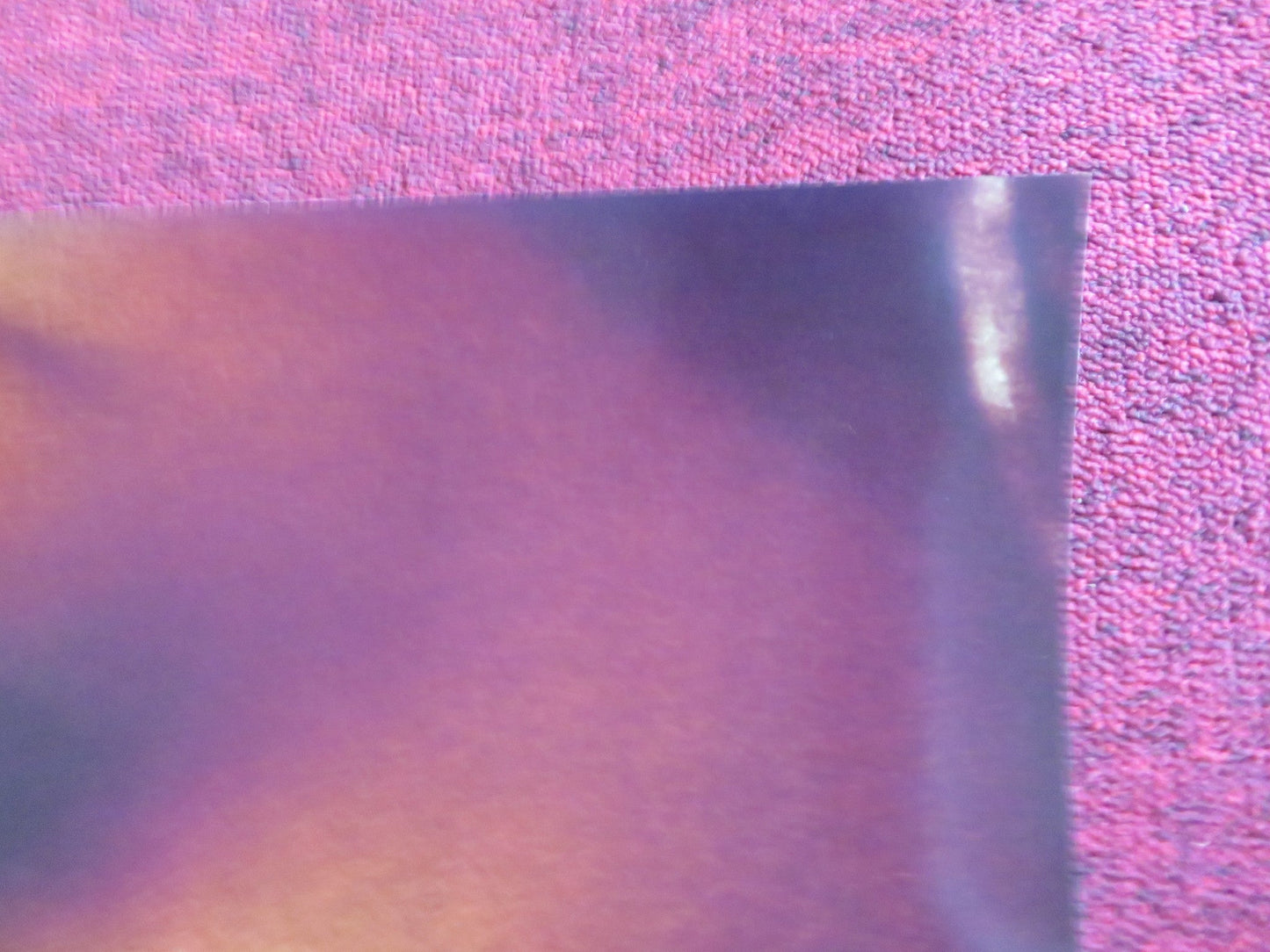 SWIMFAN - B US ONE SHEET ROLLED POSTER JESSE BRADFORD ERIKA CHRISTENSEN 2002 Rendezvous Cinema Movie posters