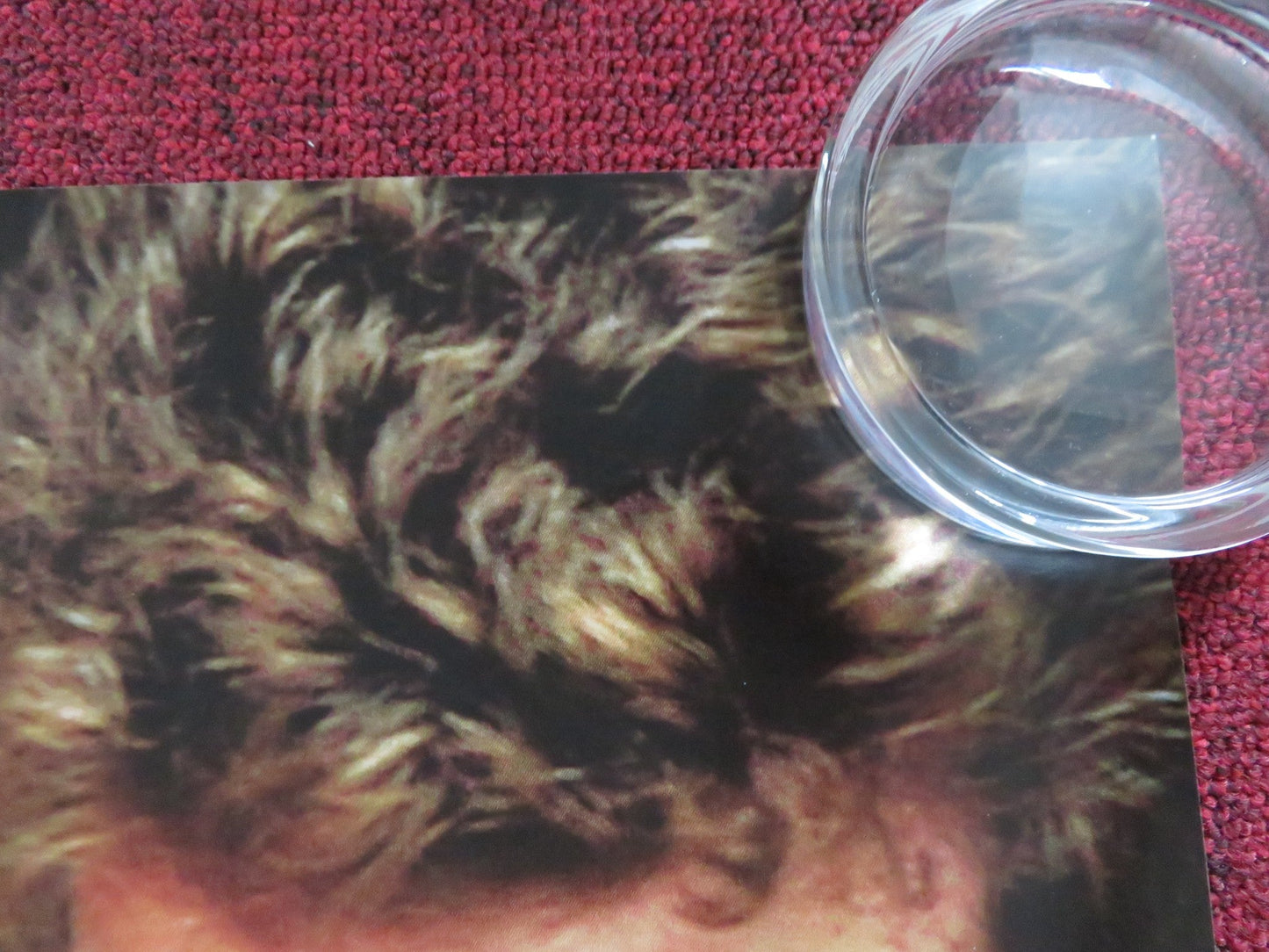 TAKE THIS WALTZ UK QUAD (30"x 40") ROLLED POSTER SETH ROGEN M. WILLIAMS 2011 Rendezvous Cinema Movie posters