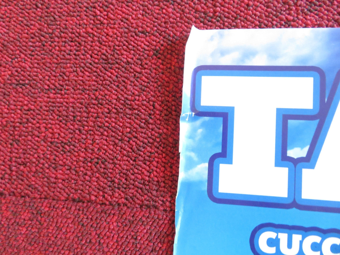 TAPPO CUCCIOLO IN UN MARE DI GUAI ITALIAN LOCANDINA POSTER BIG SEAN 2019 Rendezvous Cinema Movie posters