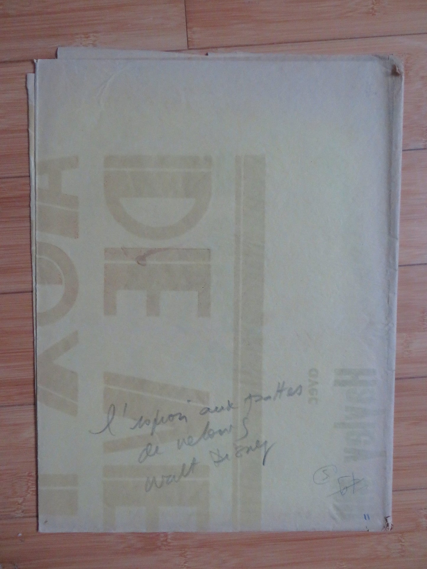 THAT DARN CAT! FRENCH POSTER DISNEY HAYLEY MILLS DEAN JONES 1965 Rendezvous Cinema Movie posters