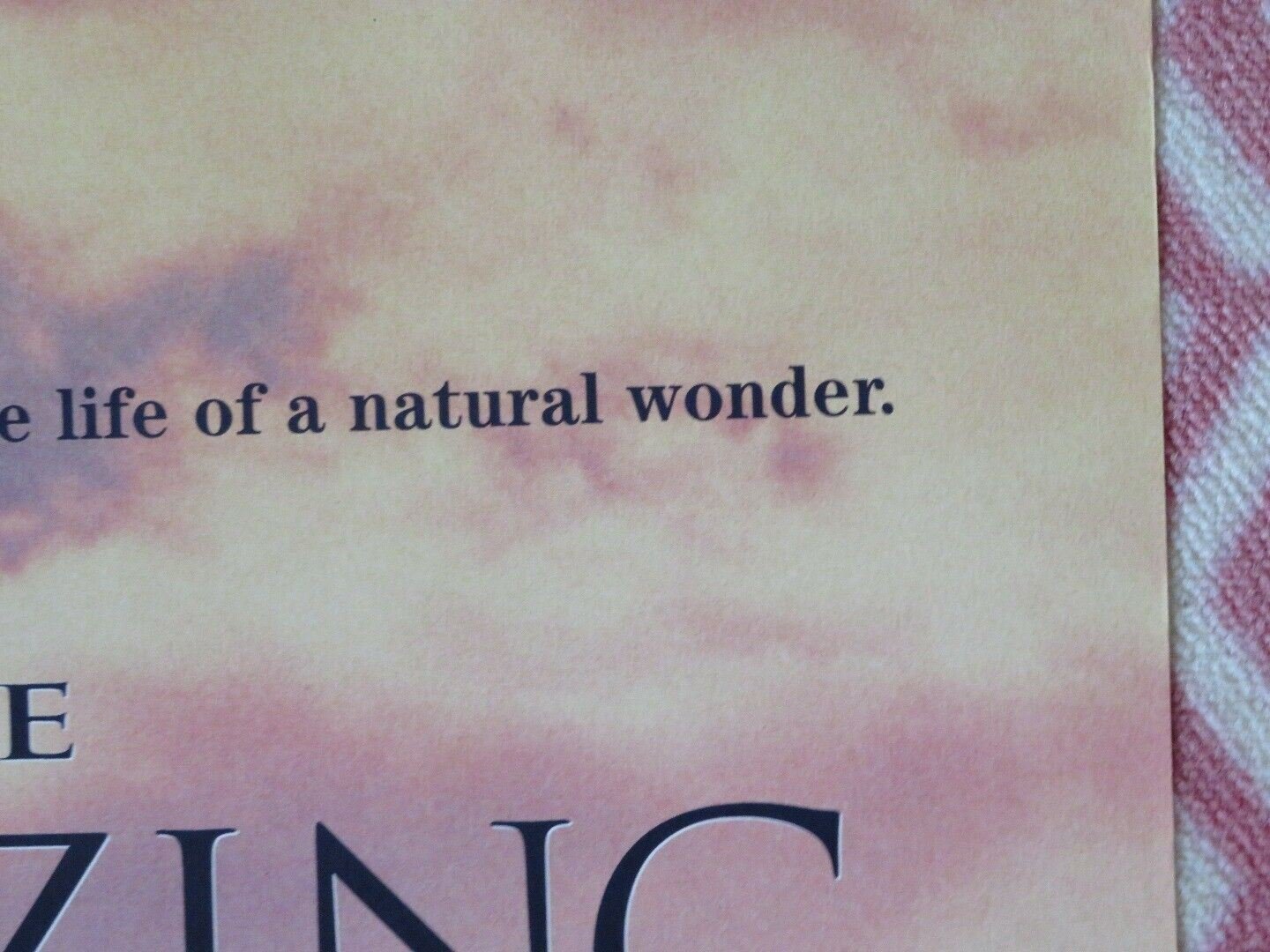 THE AMAZING PANDA ADVENTURE FOLDED US ONE SHEET POSTER STEPHEN LANG YI DING 1995 Movie posters