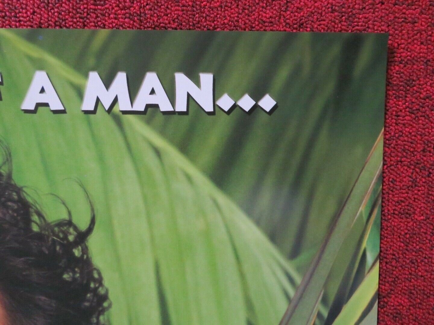 THE ANIMAL US ONE SHEET ROLLED POSTER ROB SCHNEIDER 2001 - Rendezvous Cinema