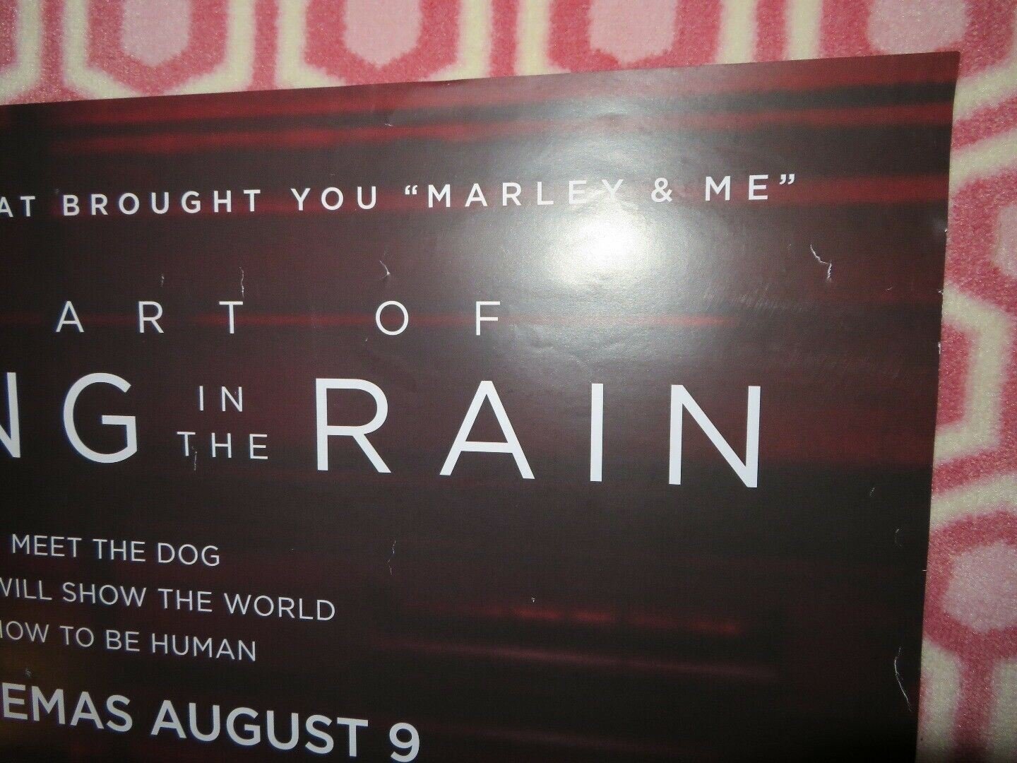 THE ART OF RACING IN THE RAIN UK ONE SHEET (27"x 41")ROLLED POSTER KEVIN COSTNER Movie posters