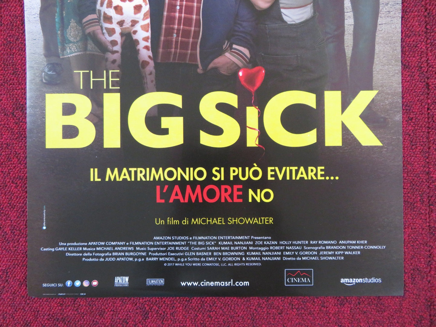 THE BIG SICK ITALIAN LOCANDINA POSTER KUMAIL NANJIANI ZOE KAZAN 2017 Rendezvous Cinema Movie posters