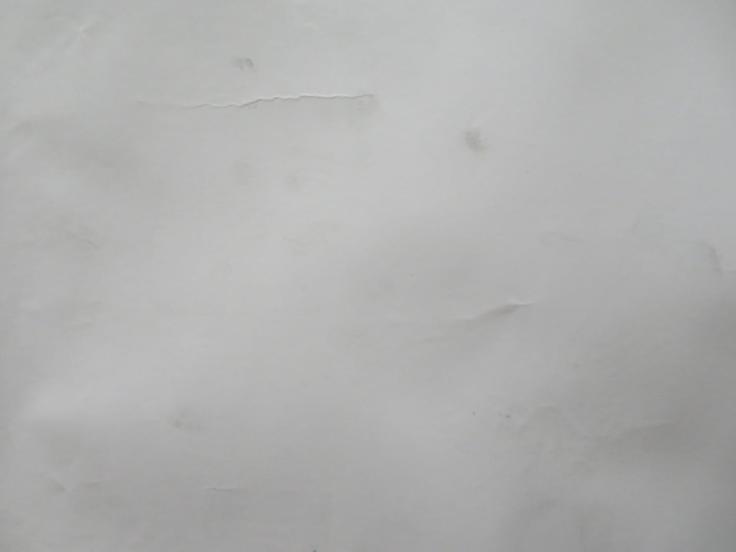 THE BOURNE ULTIMATUM UK QUAD ROLLED POSTER MATT DAMON JULIA STILES 2007 Rendezvous Cinema Movie posters