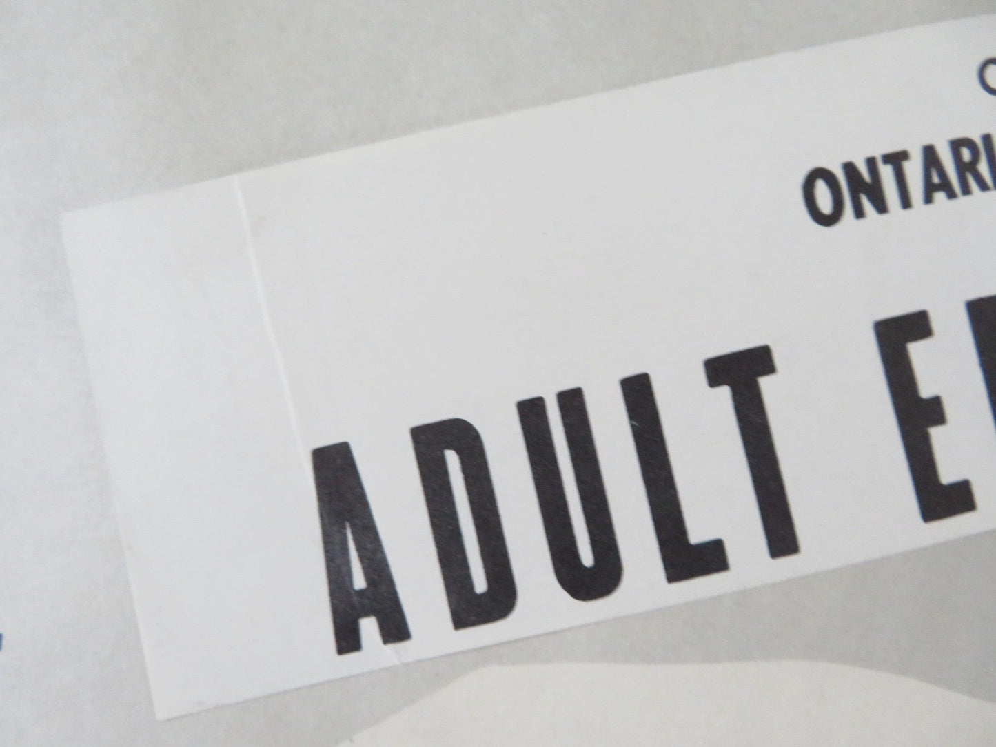 THE CARETAKERS HALF SHEET (22"x 28") POSTER ROBERT STACK POLLY BERGEN 1963 Rendezvous Cinema Movie posters