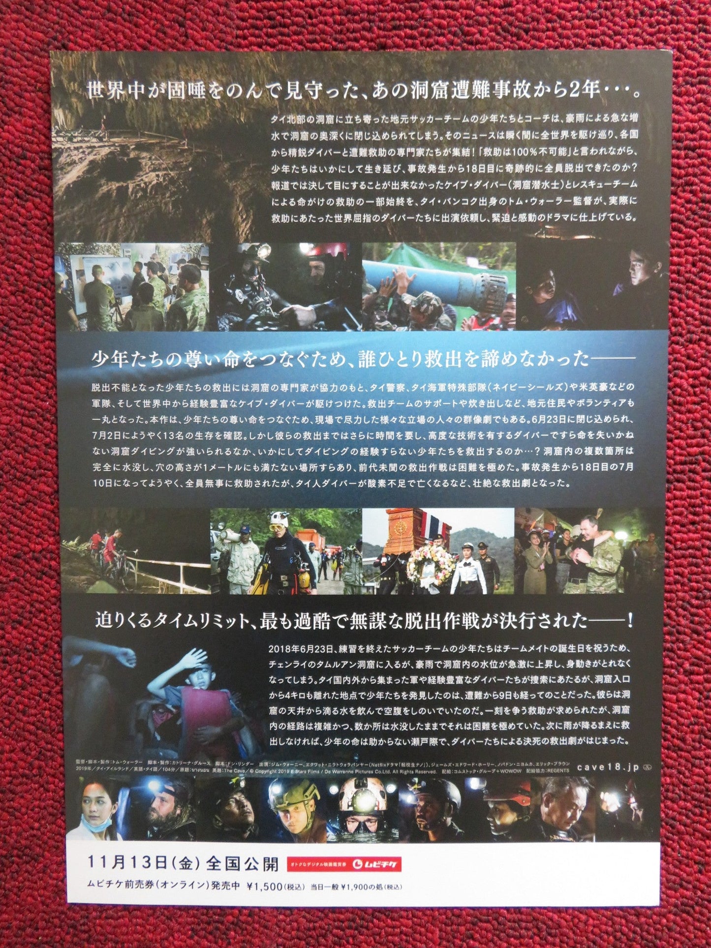 THE CAVE JAPANESE CHIRASHI (B5) POSTER JIM WARNY JAMES EDWARD HOLLEY 2019 Rendezvous Cinema Movie posters